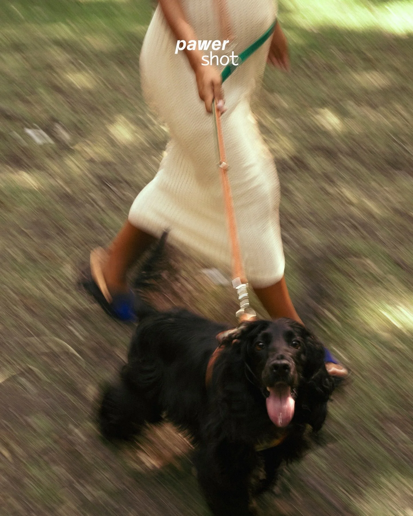 a energia da Stout est&aacute; refletida nestas imagens ❤️&zwj;🔥
&bull;
🇵🇹 fotografia lifestyle de produto pet para a @burel.factory 
Marca j&aacute; a sess&atilde;o da tua marca connosco ⚡️ atrav&eacute;s do e-mail, site ou mensagem!
&bull;
🇬🇧 