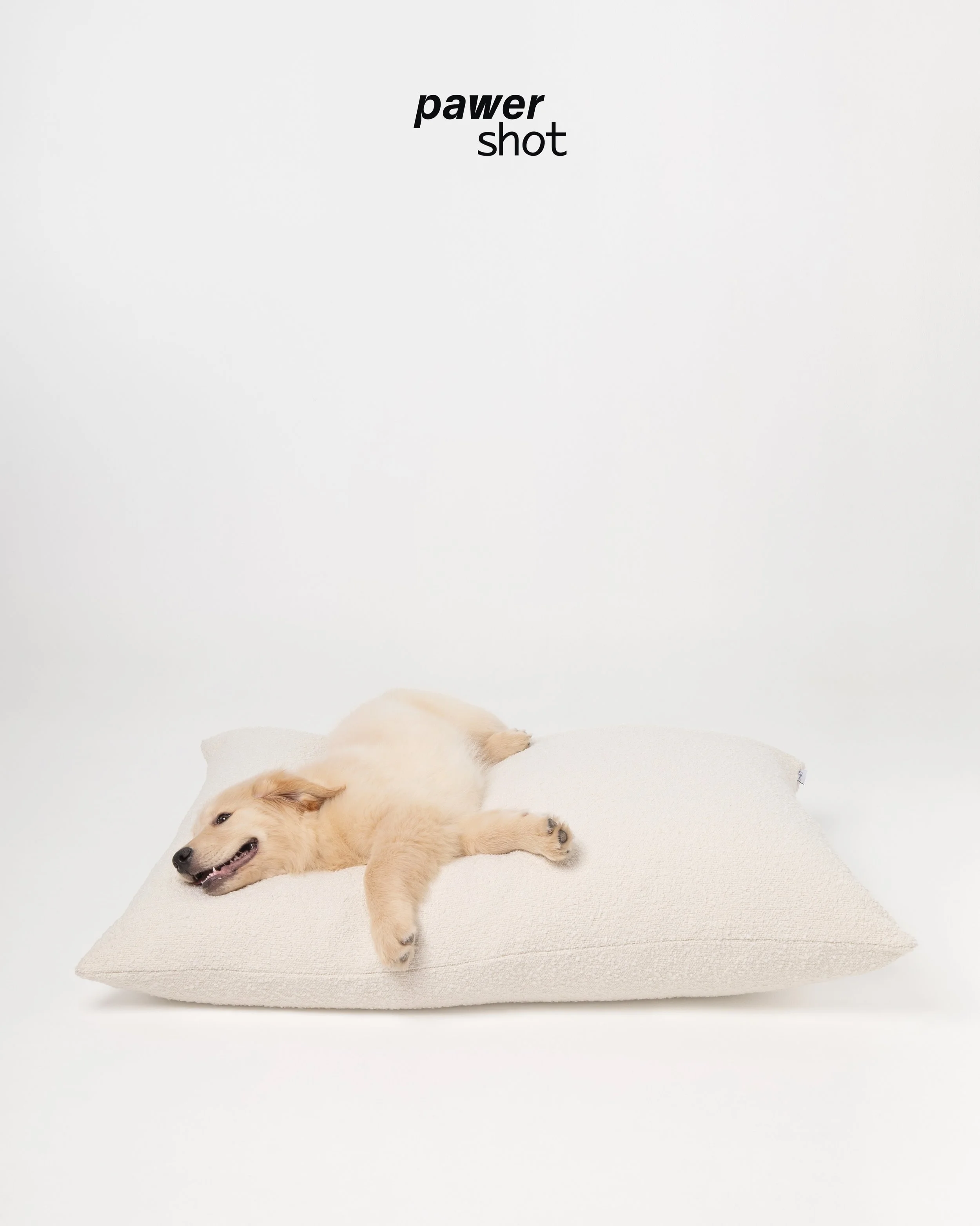 swipe for cuteness ☁️
&bull;
🇵🇹 fotografia de produto pet para a @thehappynestbrand 
Marca j&aacute; a sess&atilde;o da tua marca connosco ⚡️ atrav&eacute;s do e-mail, site ou mensagem!
&bull;
🇬🇧 e-commerce photography for @thehappynestbrand 
Boo