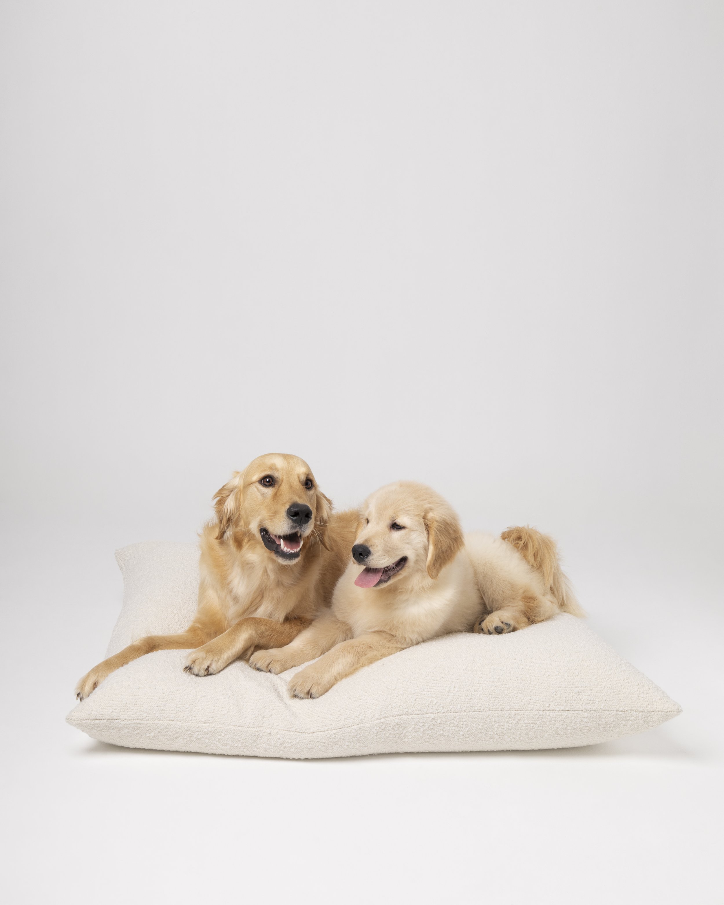 TheHappyNest_8937.jpg