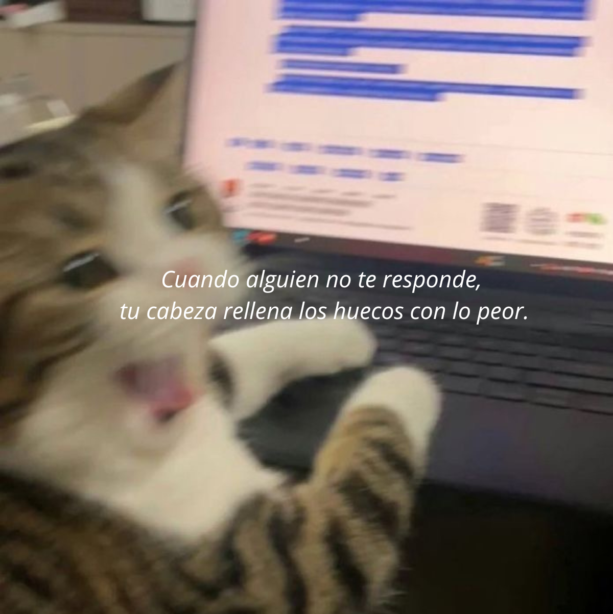 cv.png