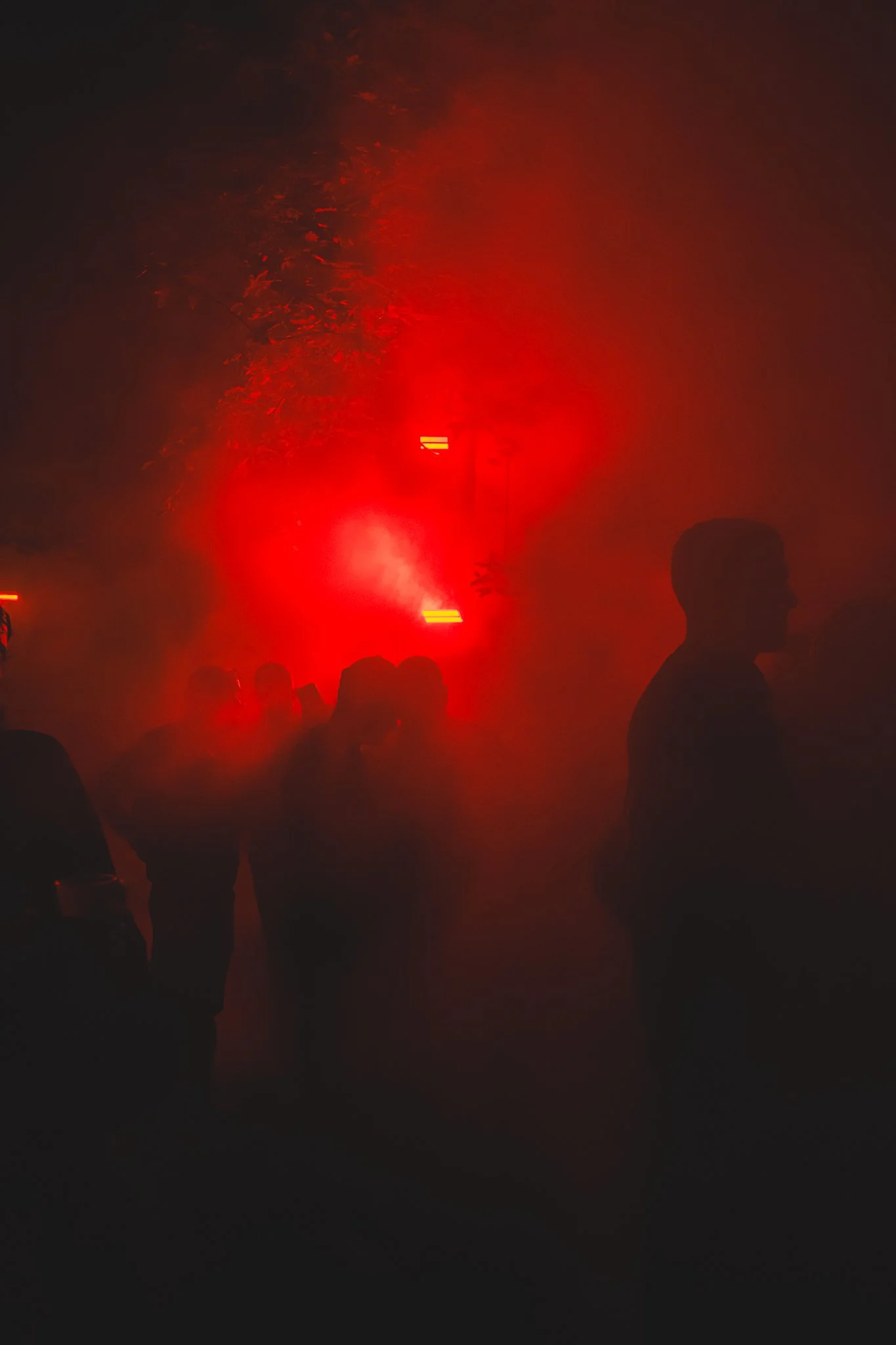 29082026_Het-Nest-Festival_Ronalyn.nl-46.jpg