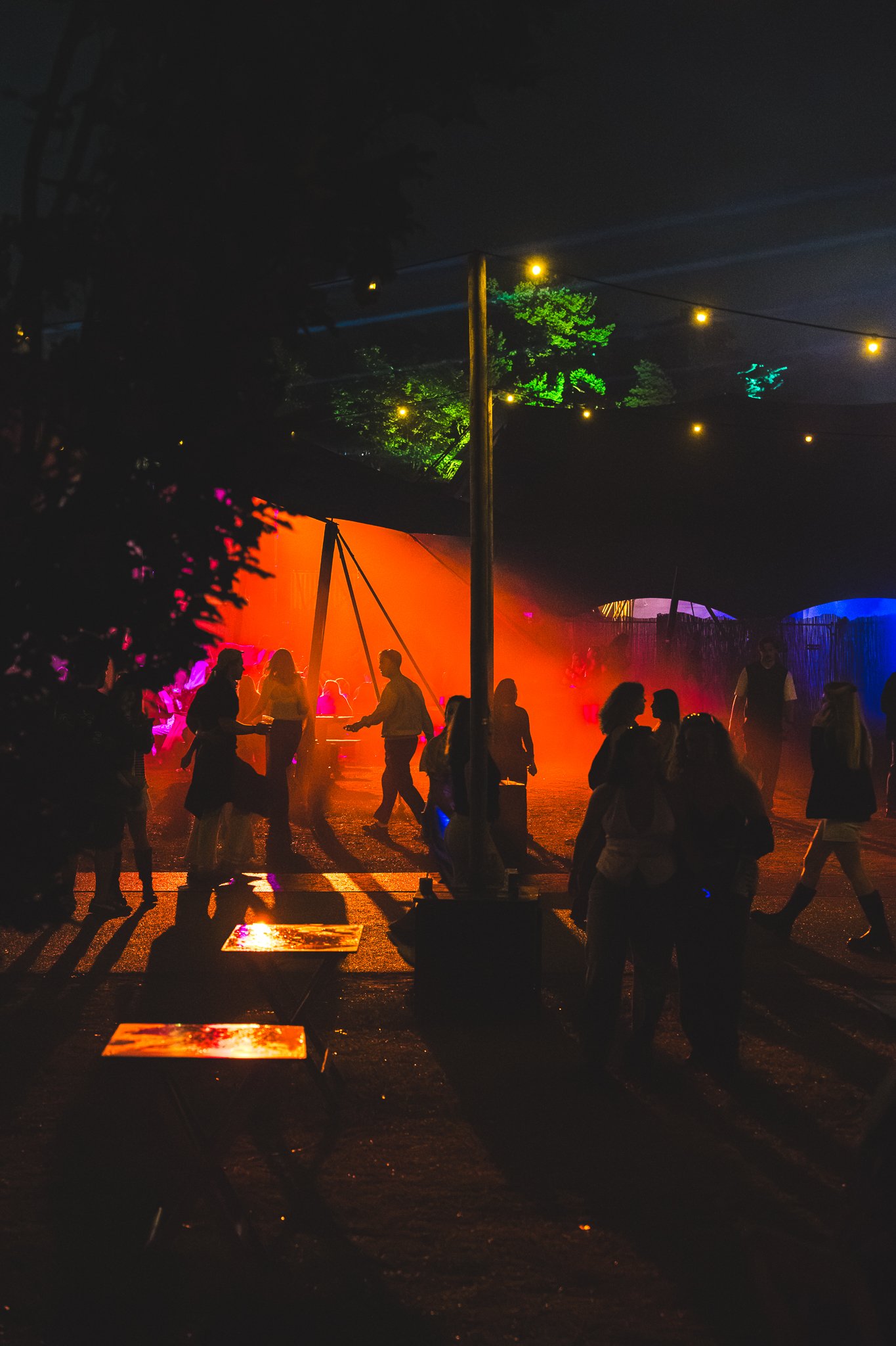 29082026_Het-Nest-Festival_Ronalyn.nl-17.jpg