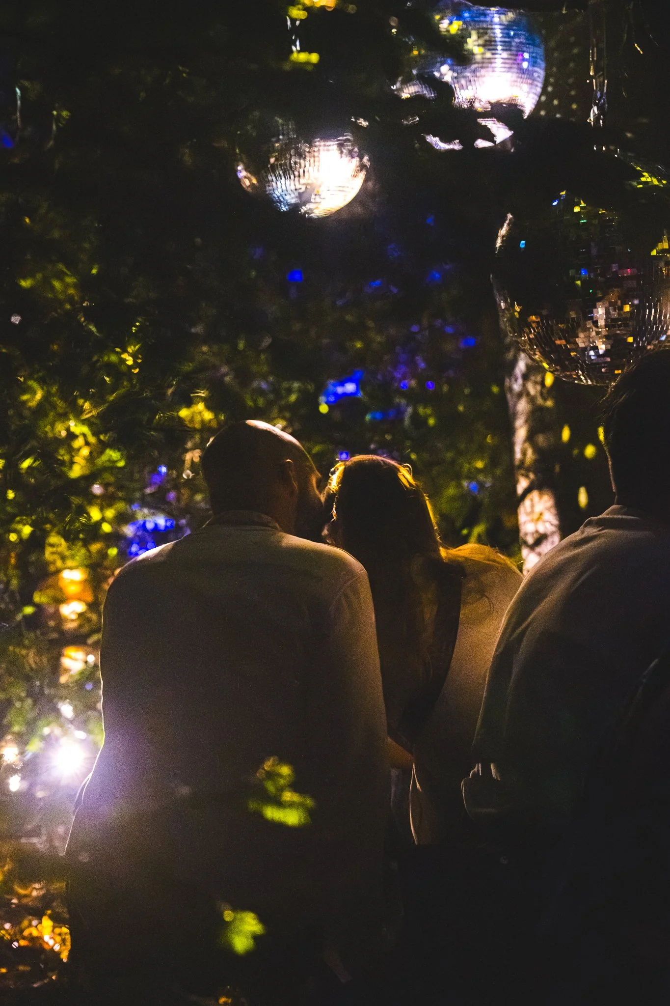 29082026_Het-Nest-Festival_Ronalyn.nl-20.jpg