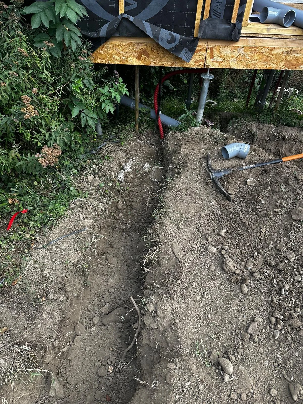 Zdjęcie WhatsApp 2025-06-30 o 21.17.28_d25977f3.jpg