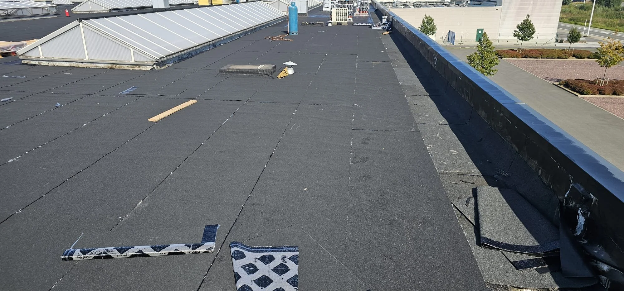 Zdjęcie WhatsApp 2025-01-10 o 12.30.57_8e10de16.jpg