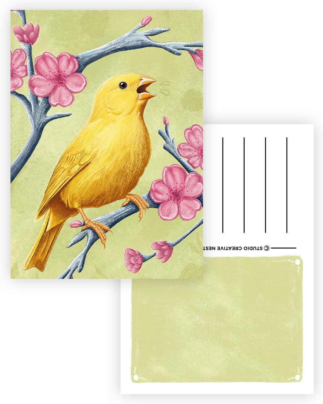 Canary with Blossom