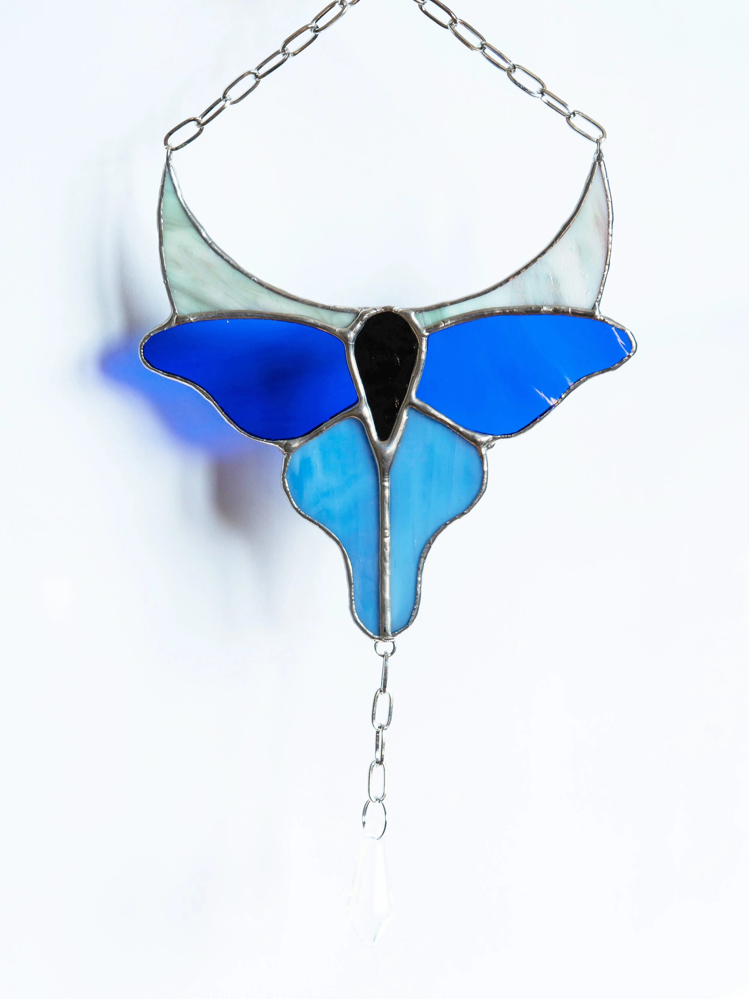 Blue Moth & Moon