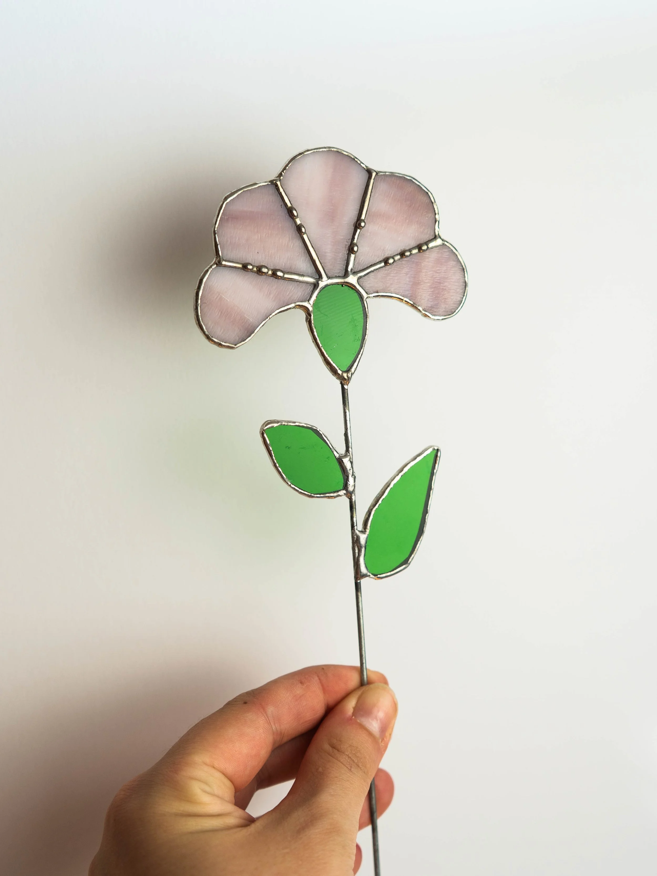 Pretty pink & green Flower