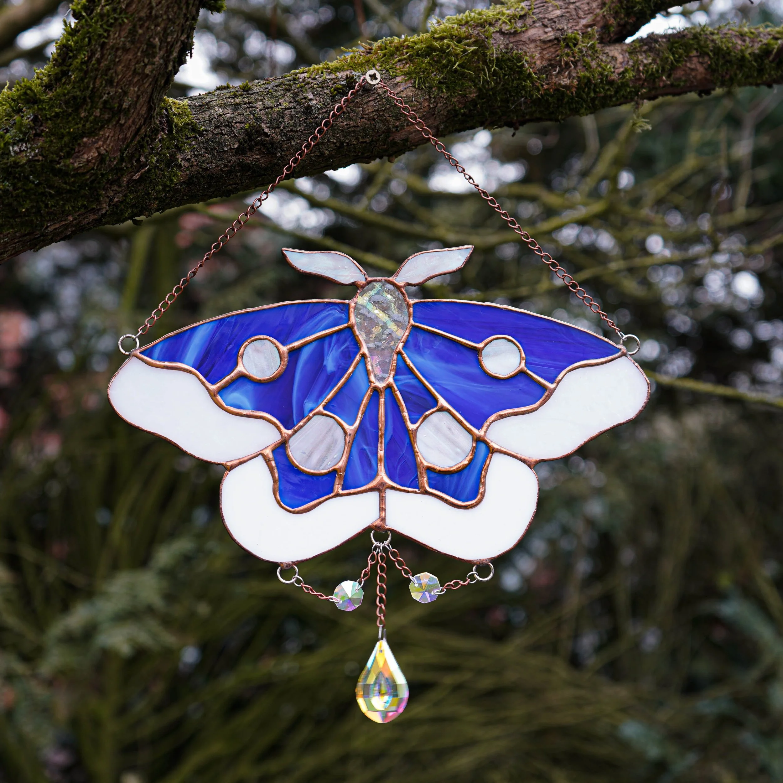 Stained Glass Moth Suncatcher