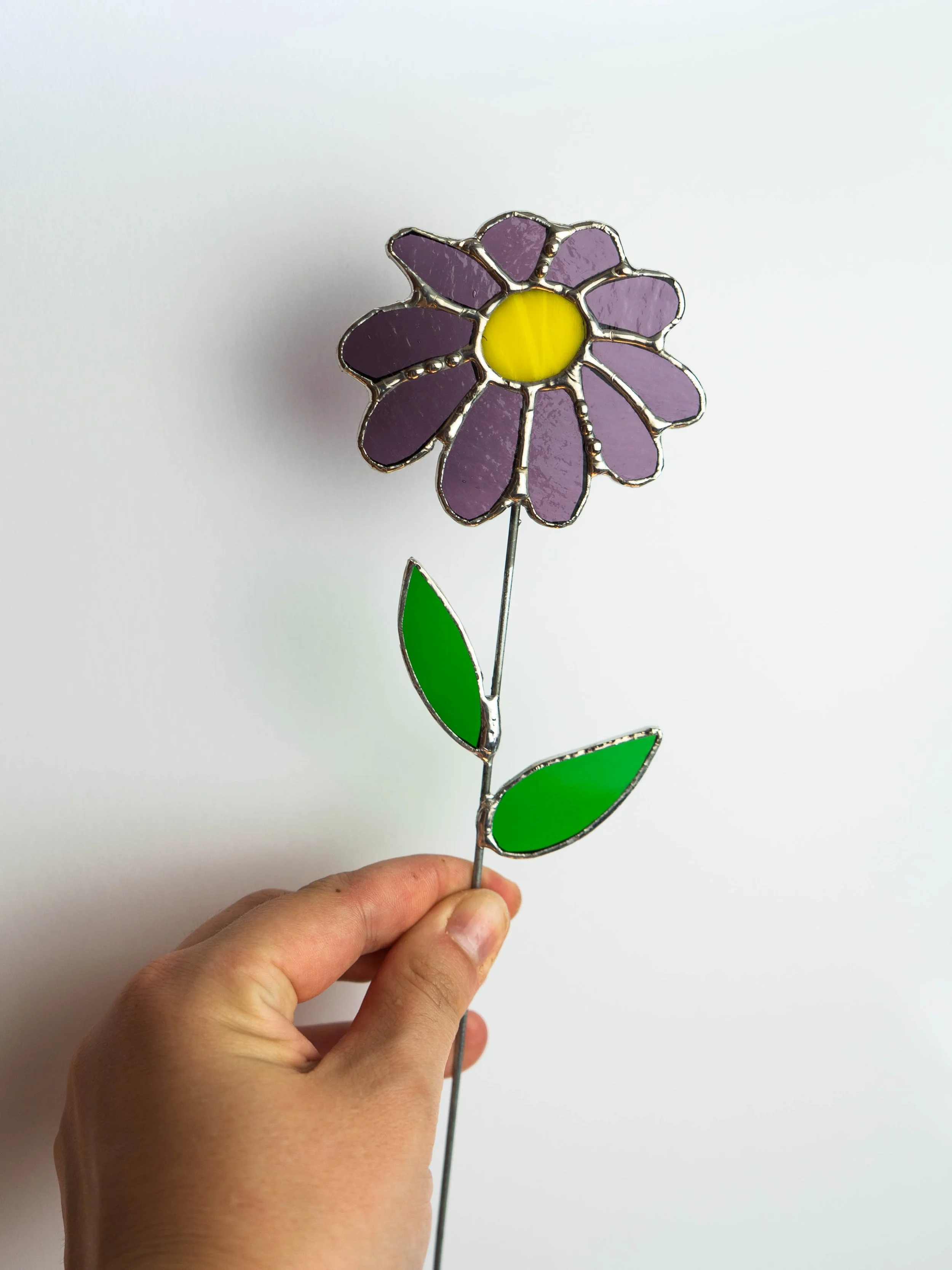 Purple & yellow Flower