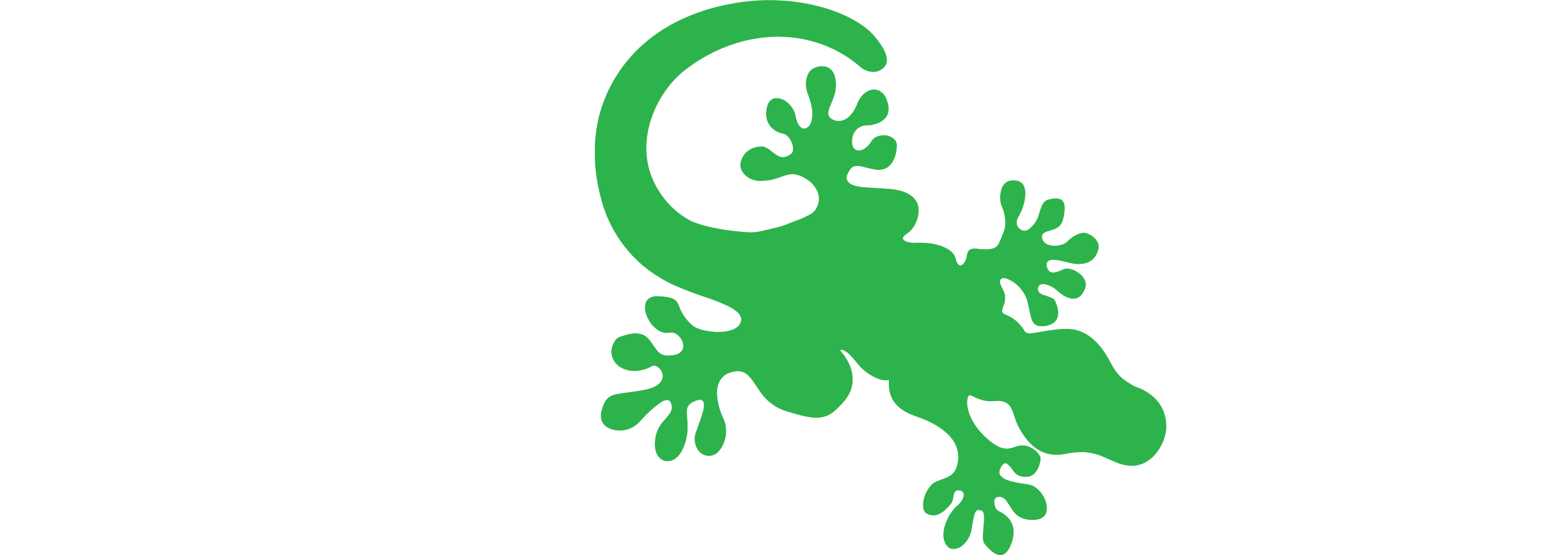 Gecko Grip Insert — Gecko Head Gear
