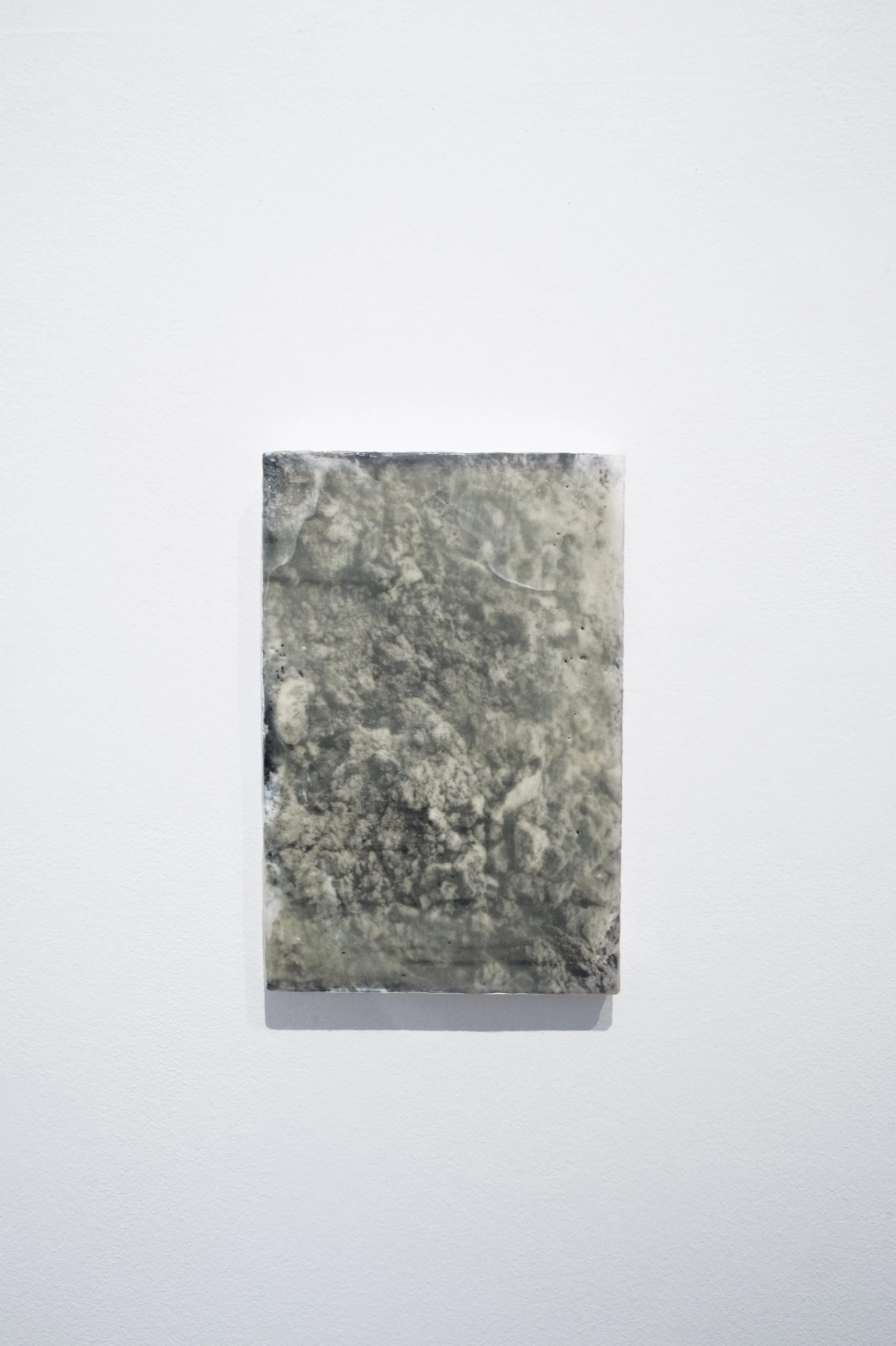 Organ II, 
gelatin silver print, wax, damar resin, pigments on board
20 cm x 30 cm x 180 mm
2026