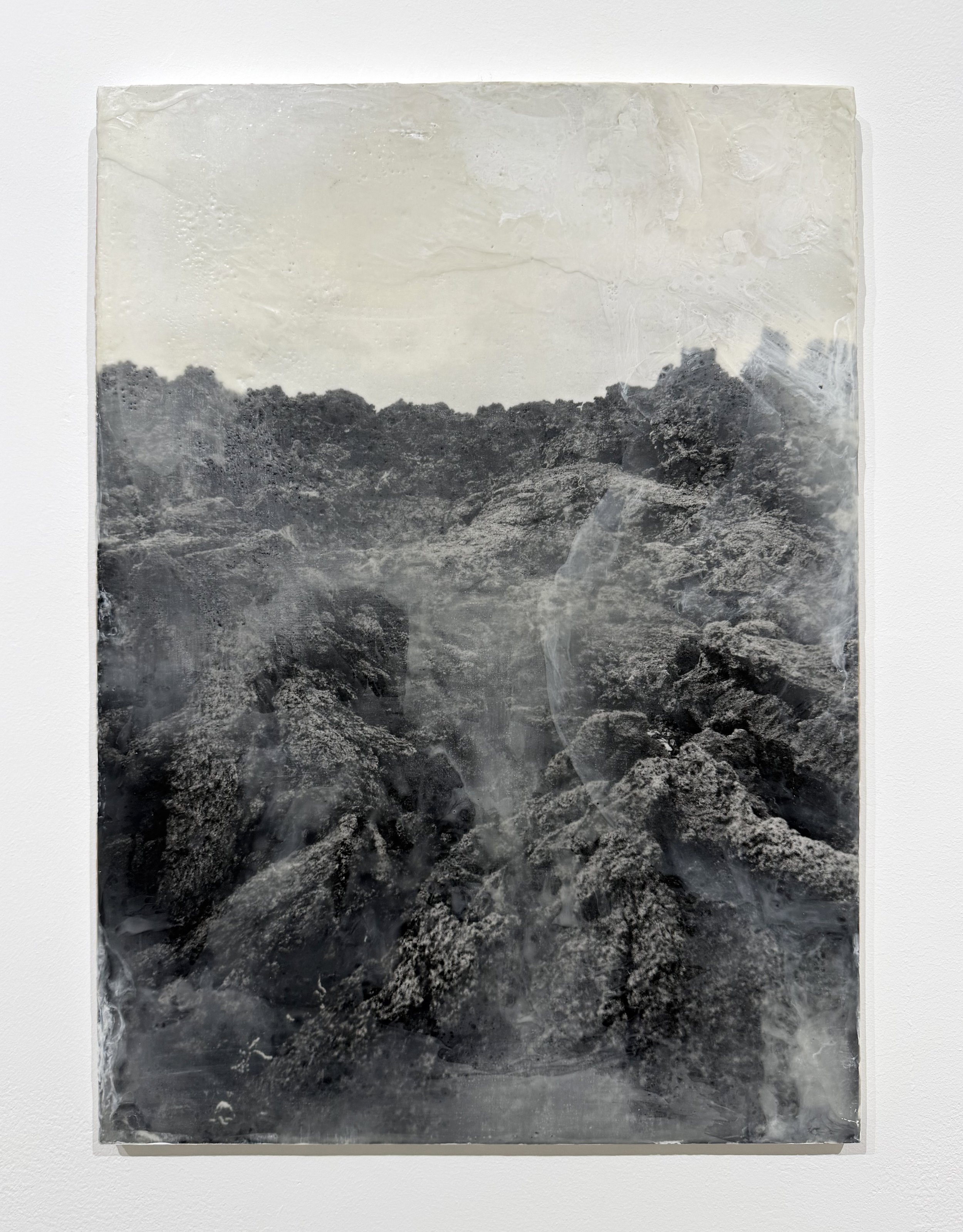 A Lullaby, a Storm, a Prodigy - III
Triptych
gelatin silver print, beeswax, damar resin, pigments on board
70 cm x 50 cm x 180 mm

2026