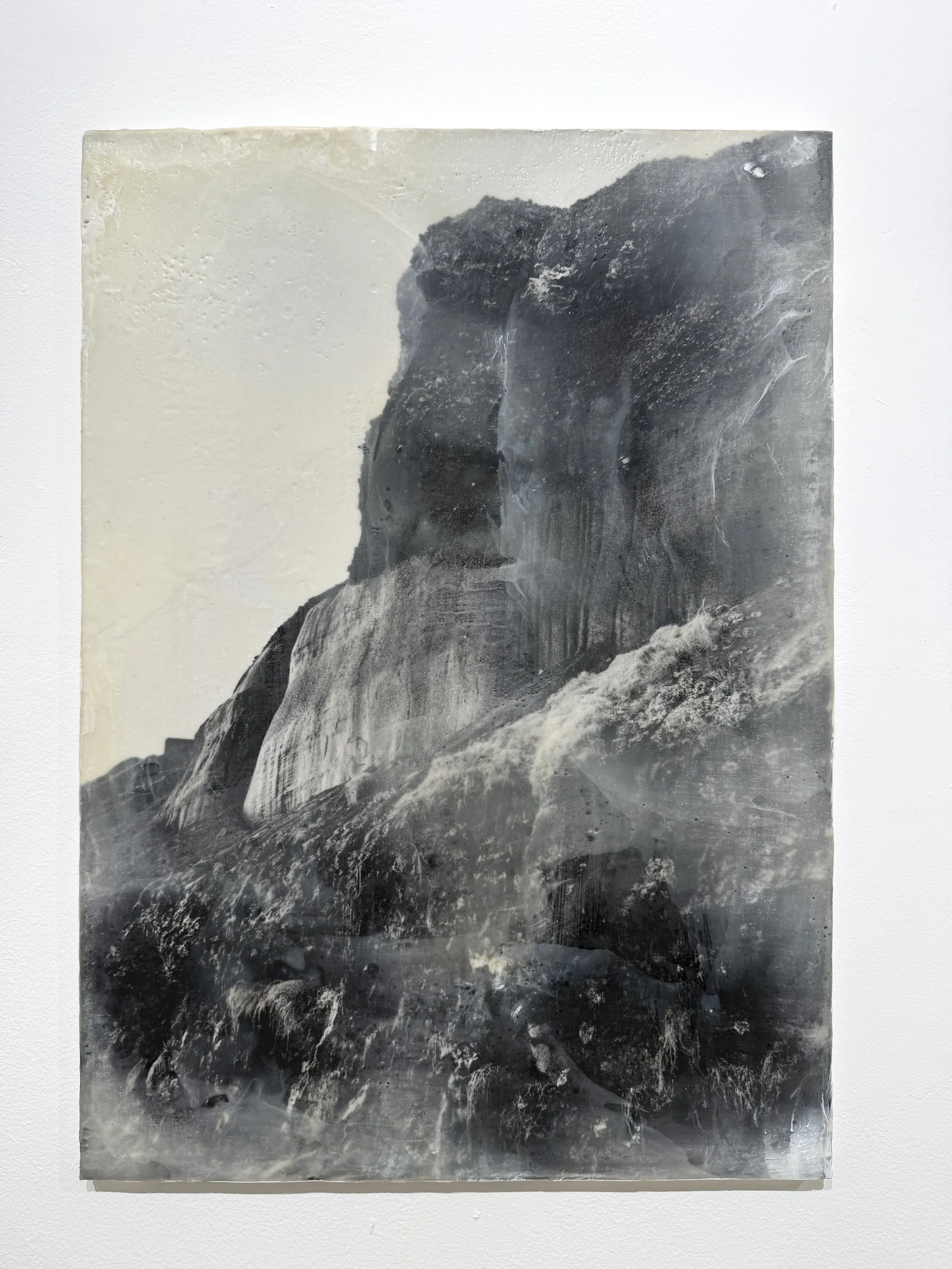 A Lullaby, a Storm, a Prodigy - I

Triptych
gelatin silver print, beeswax, damar resin, pigments on board
70 cm x 50 cm x 180 mm

2026
