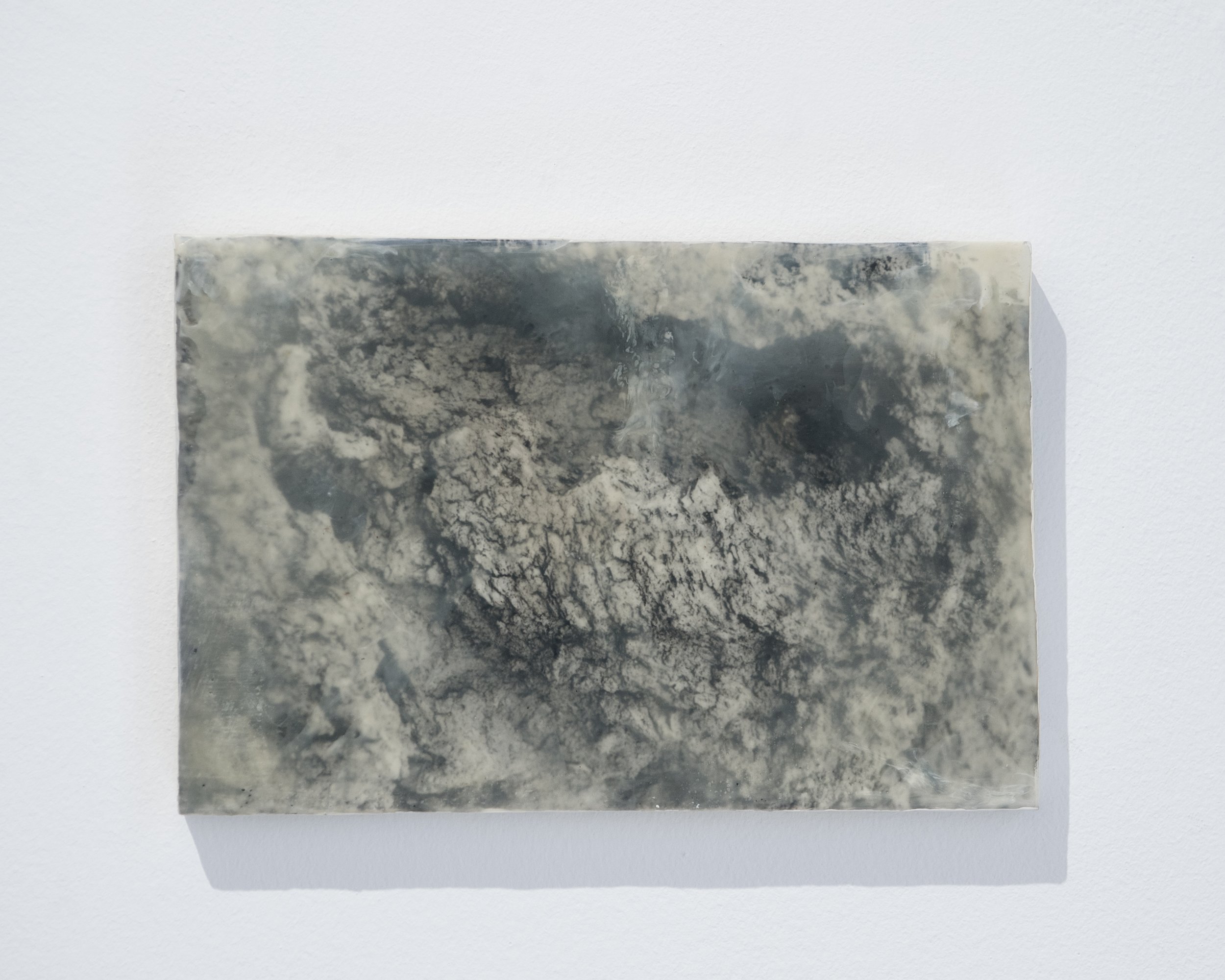 Organ I, 
gelatin silver print, wax, damar resin, pigments on board
20 cm x 30 cm x 180 mm
2026