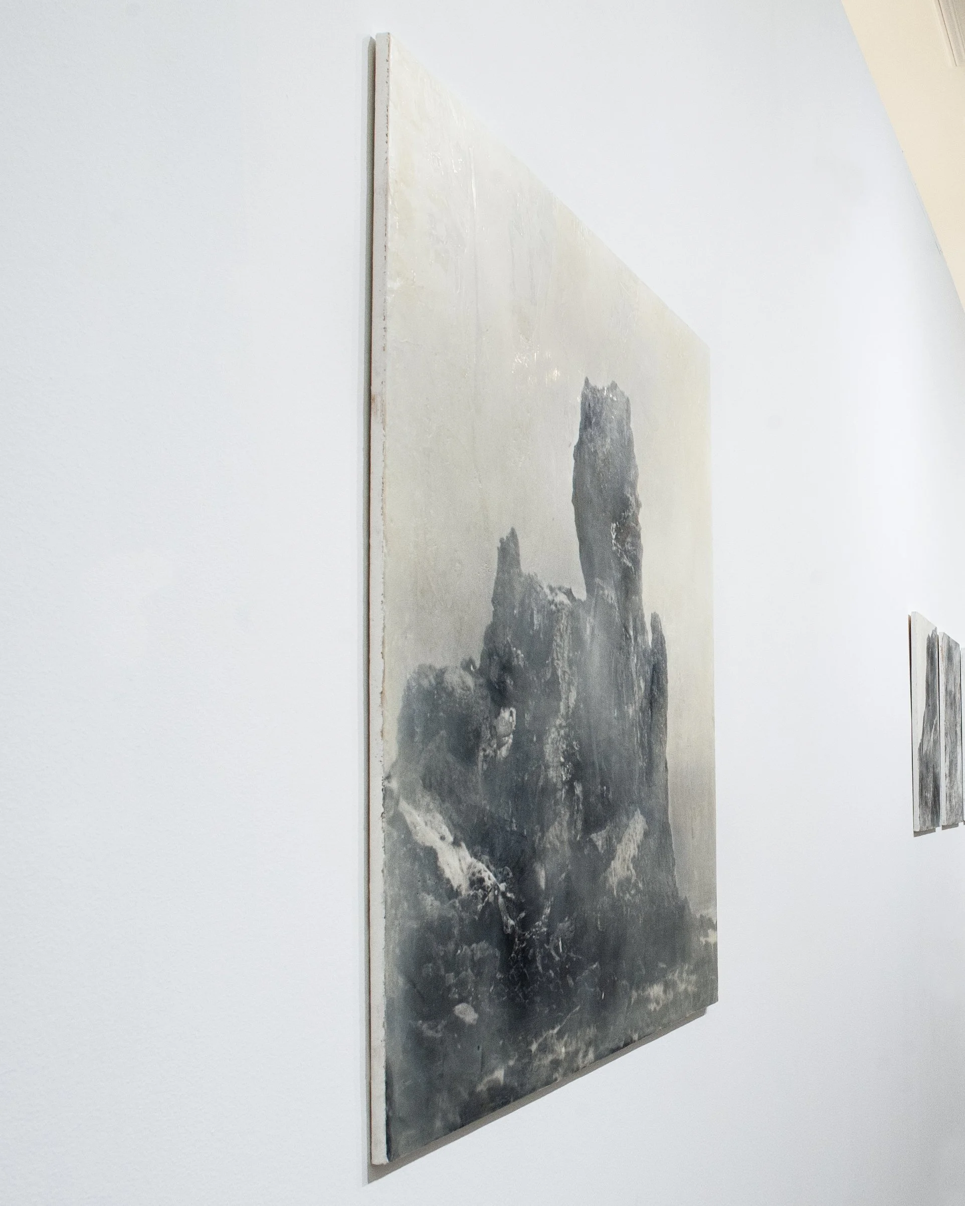 Cathedral

gelatin silver print, beeswax, damar resin, pigments on board
110 cm x 110 cm x 150 mm

2026