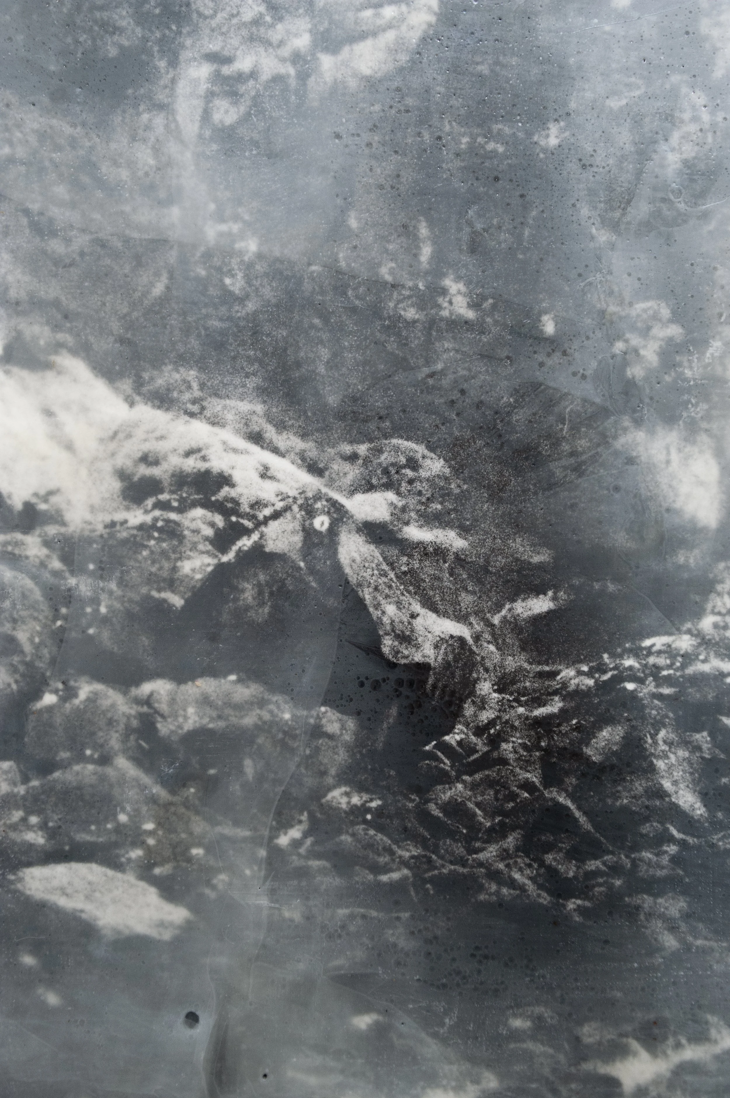 Cathedral
(detail)

gelatin silver print, beeswax, damar resin, pigments on board
110 cm x 110 cm x 150 mm

2026