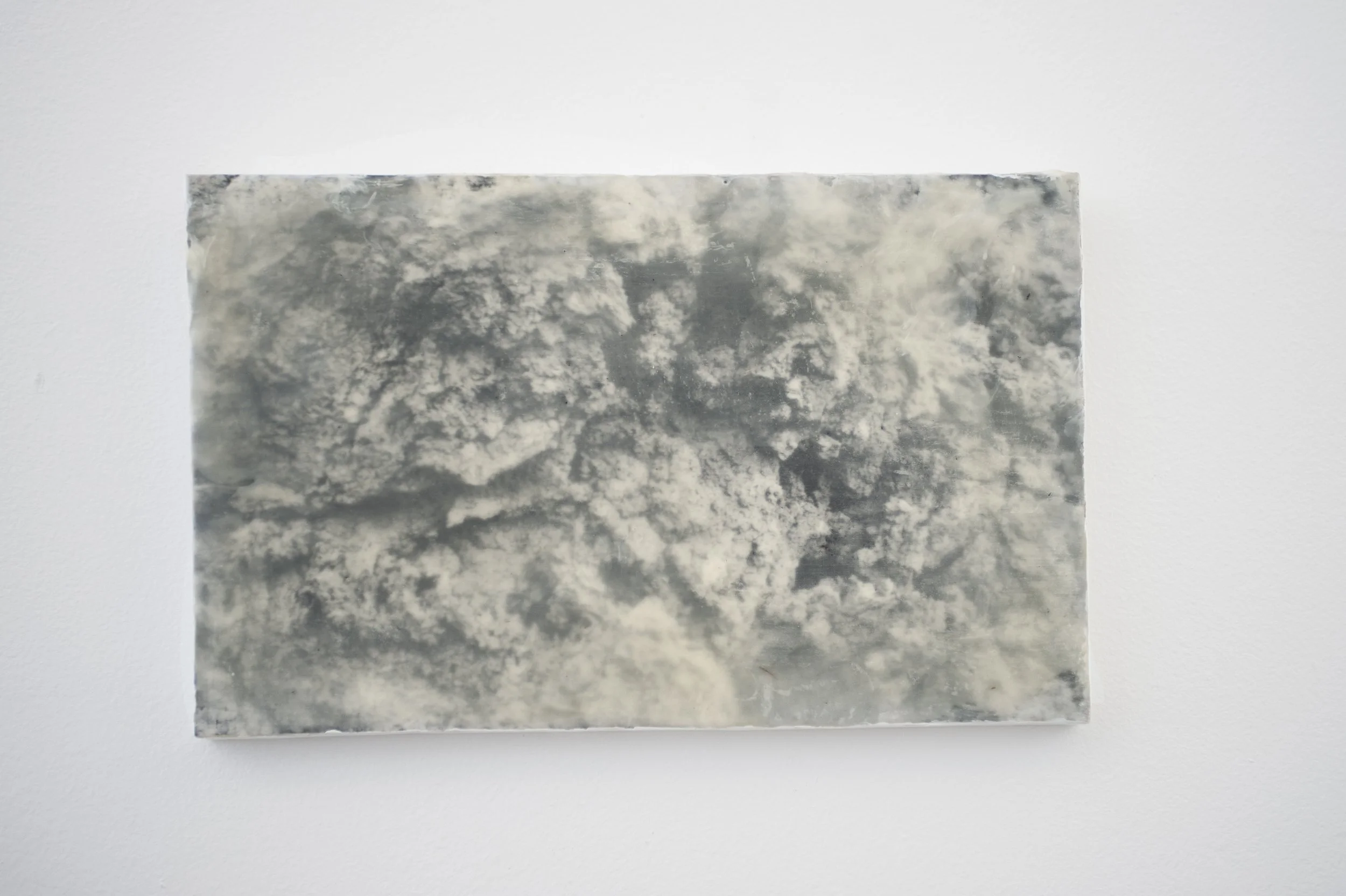 Organ III,
gelatin silver print, wax, damar resin, pigments on board
20 cm x 30 cm x 180 mm
2026