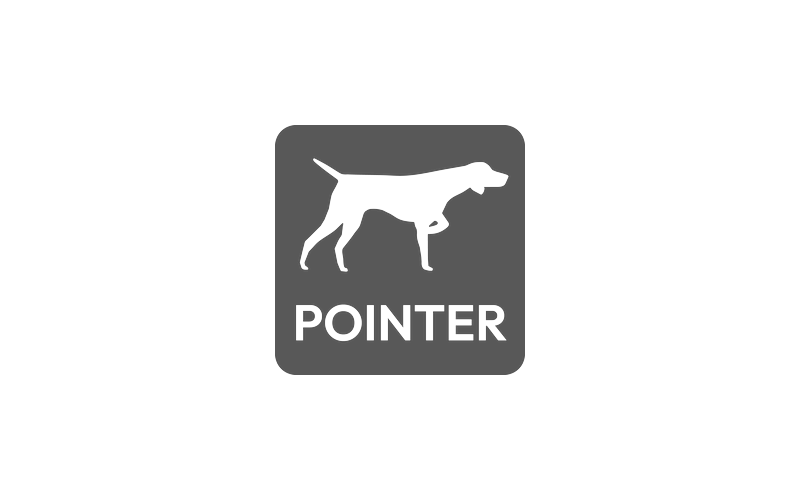 Pointer-Consultancy-Group-Logo-Grey.png