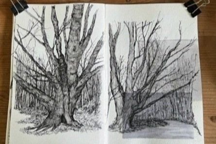 The Outwoods, Leicestershire. Fountain pen and wash.