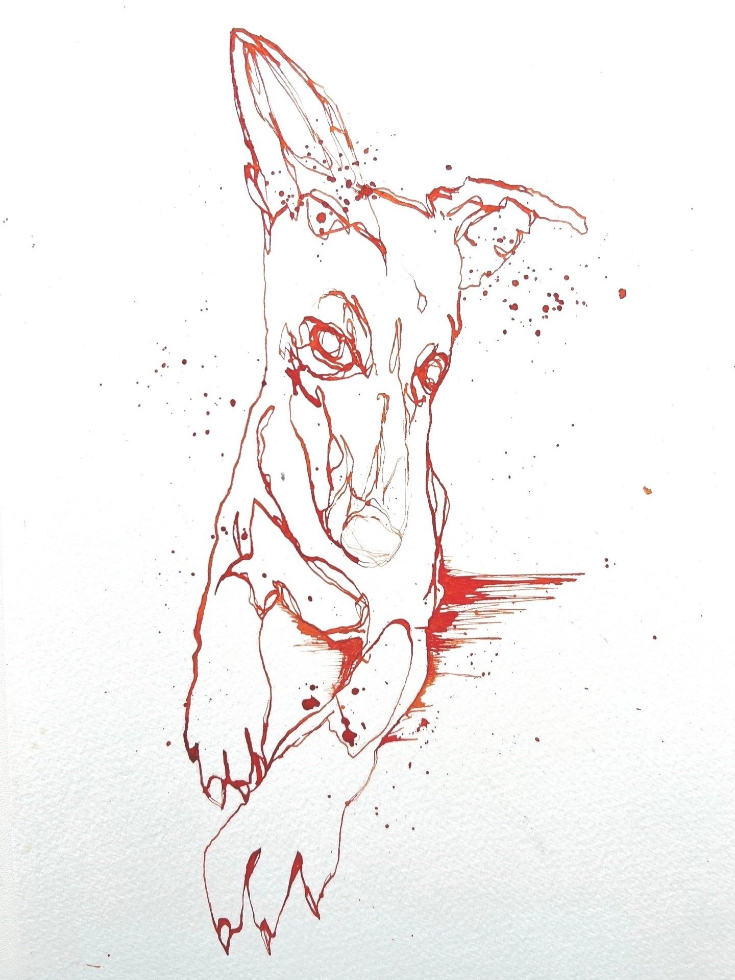 Whippet fountain pen sketch in orange ink.