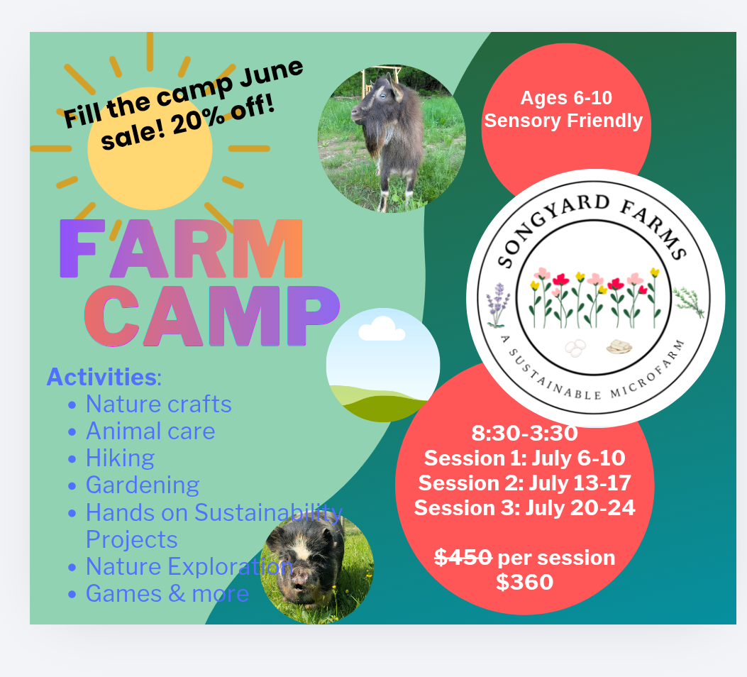 Summer Farm Camp (full day)