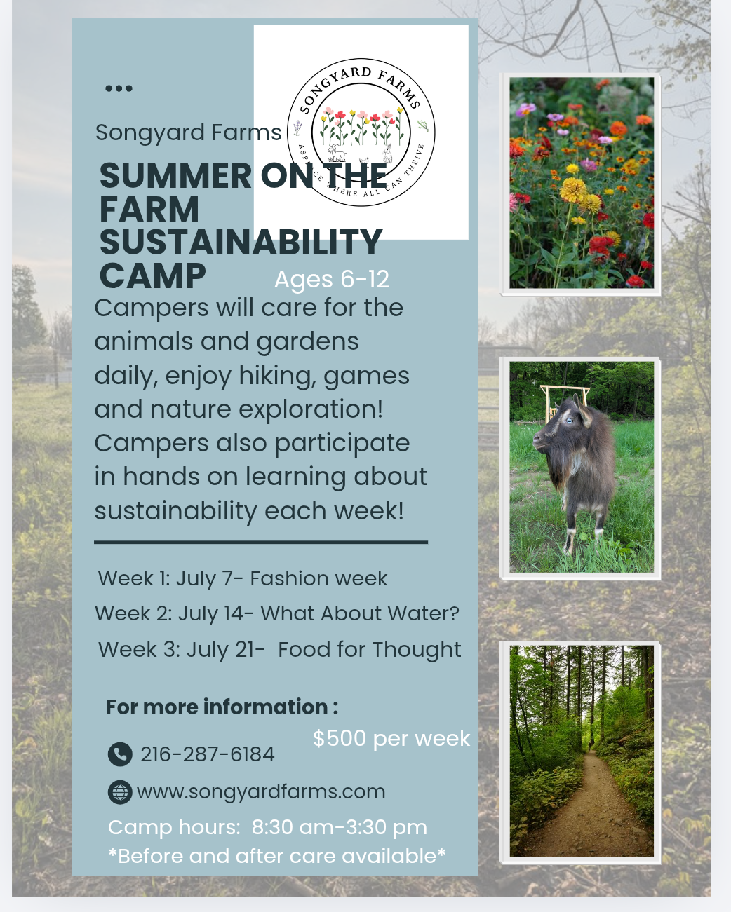 Summer Sustainability Camp (full day)