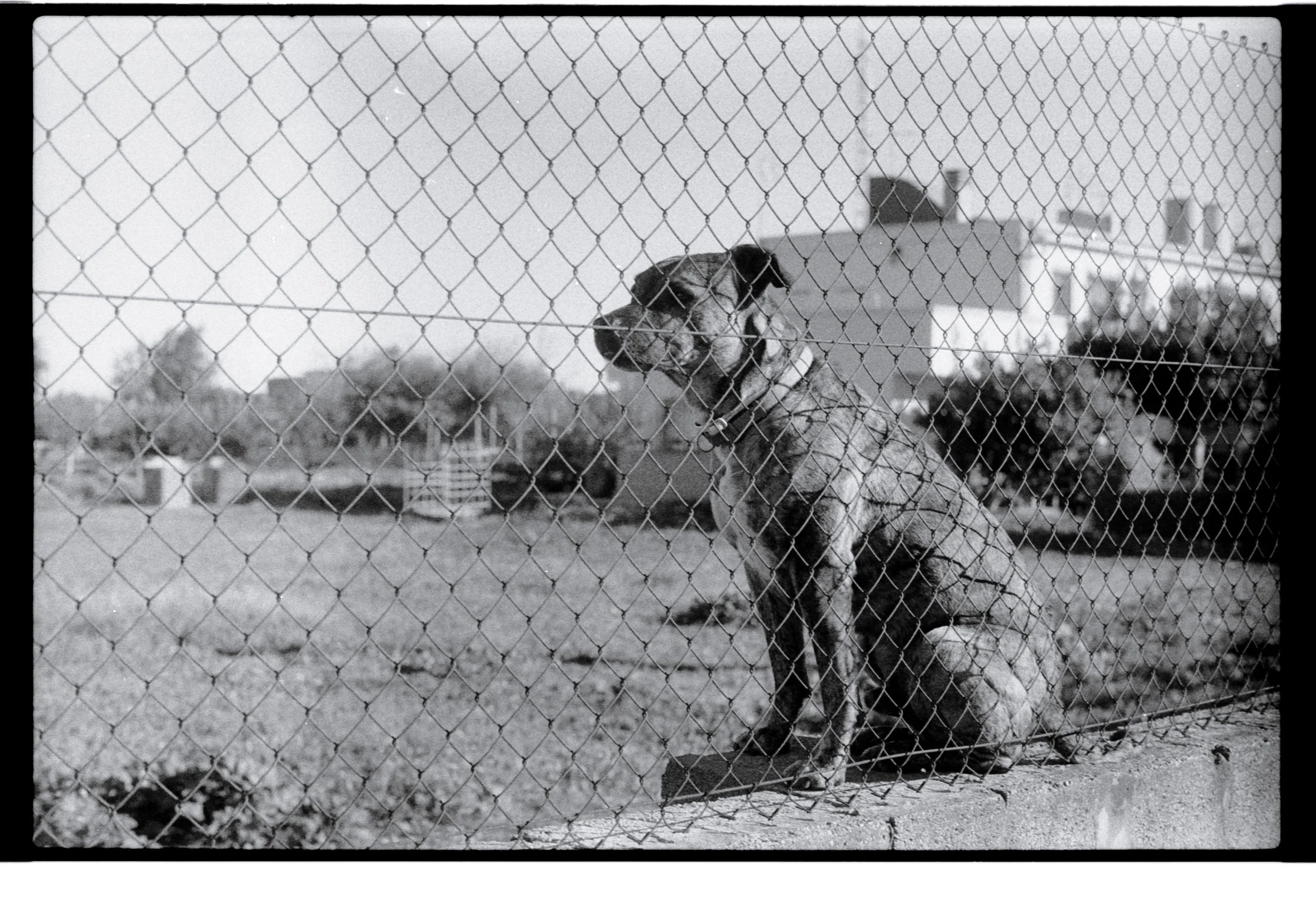 antonio002_400tx_Antonio_2.jpg