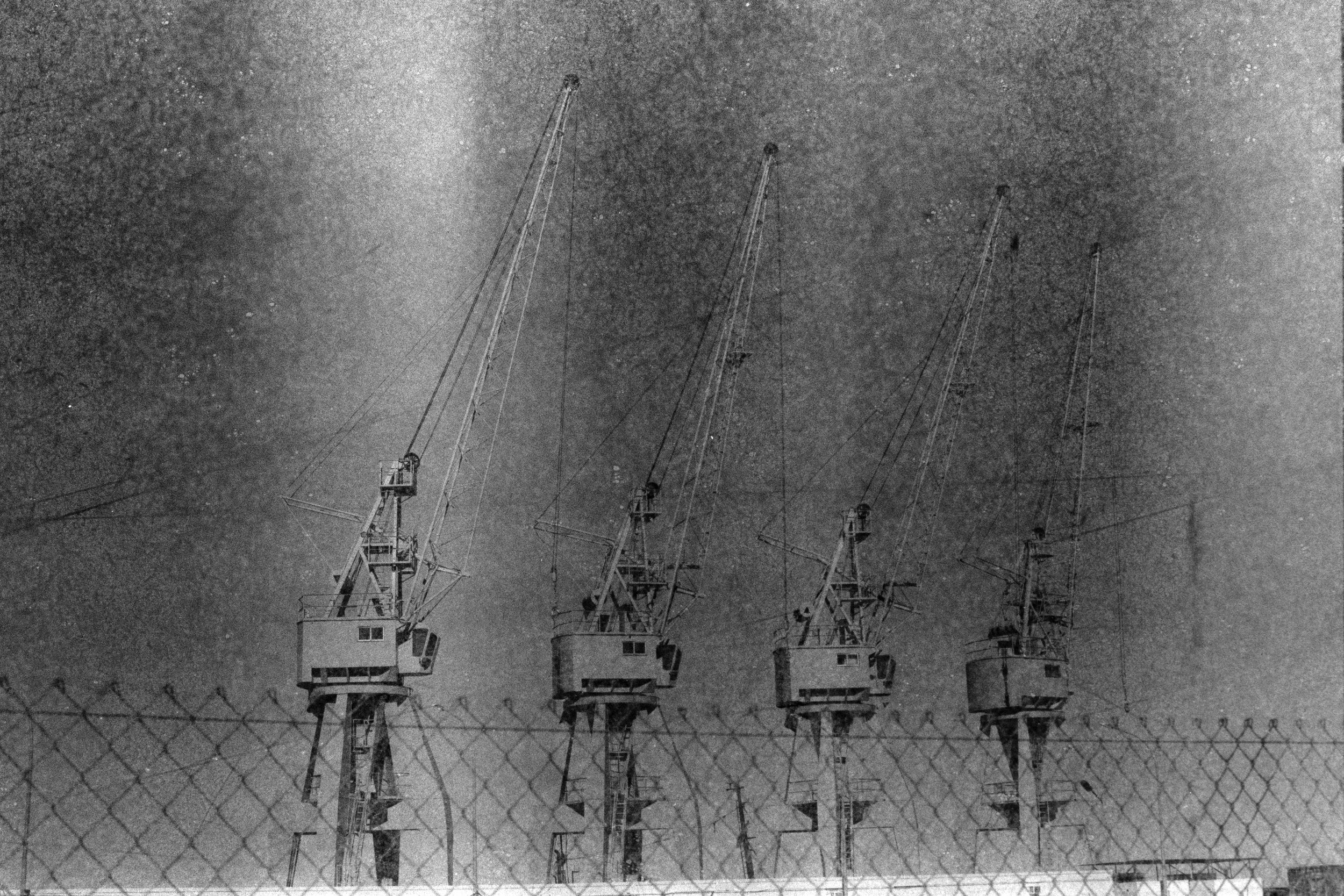 SDP6428-2-24.jpg