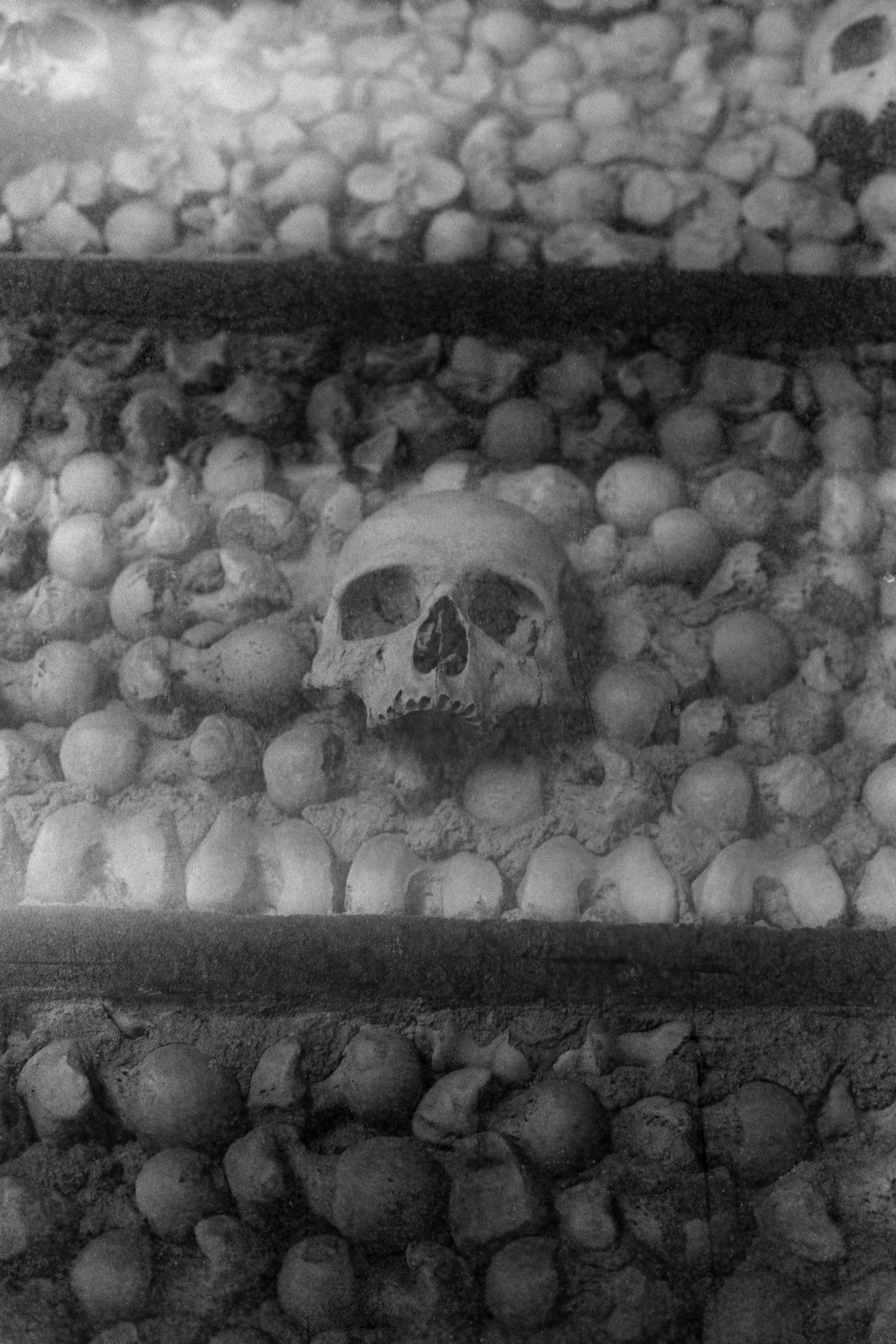 SDP6428-2-29.jpg