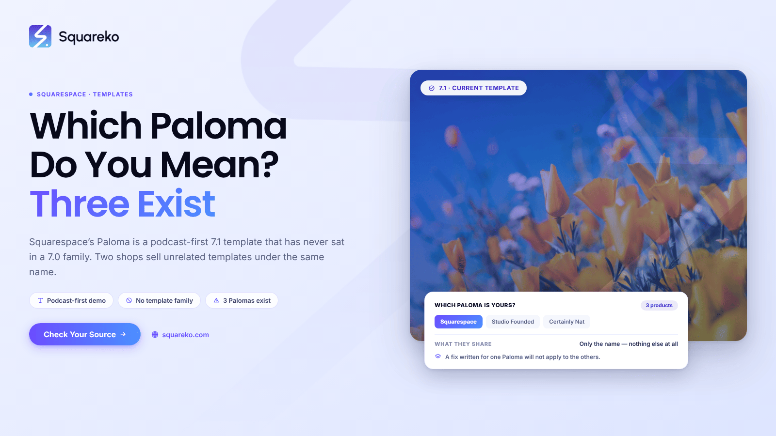 The Squarespace Paloma Template: What It Is, and What It Isn't