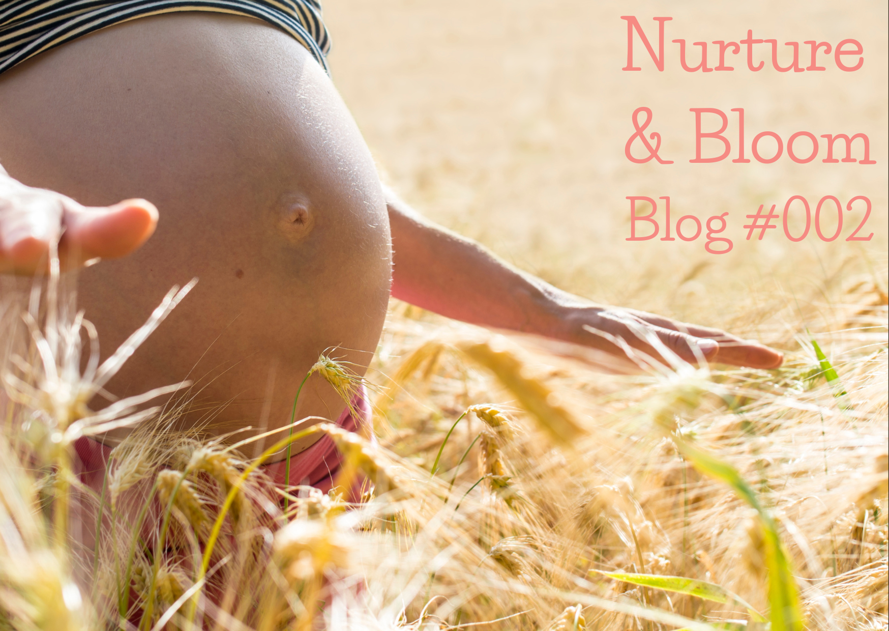 Image of pregnant woman walking through a field of ripe, tall barley. Her hands brush through the top of the crop and her baby belly is evident too.