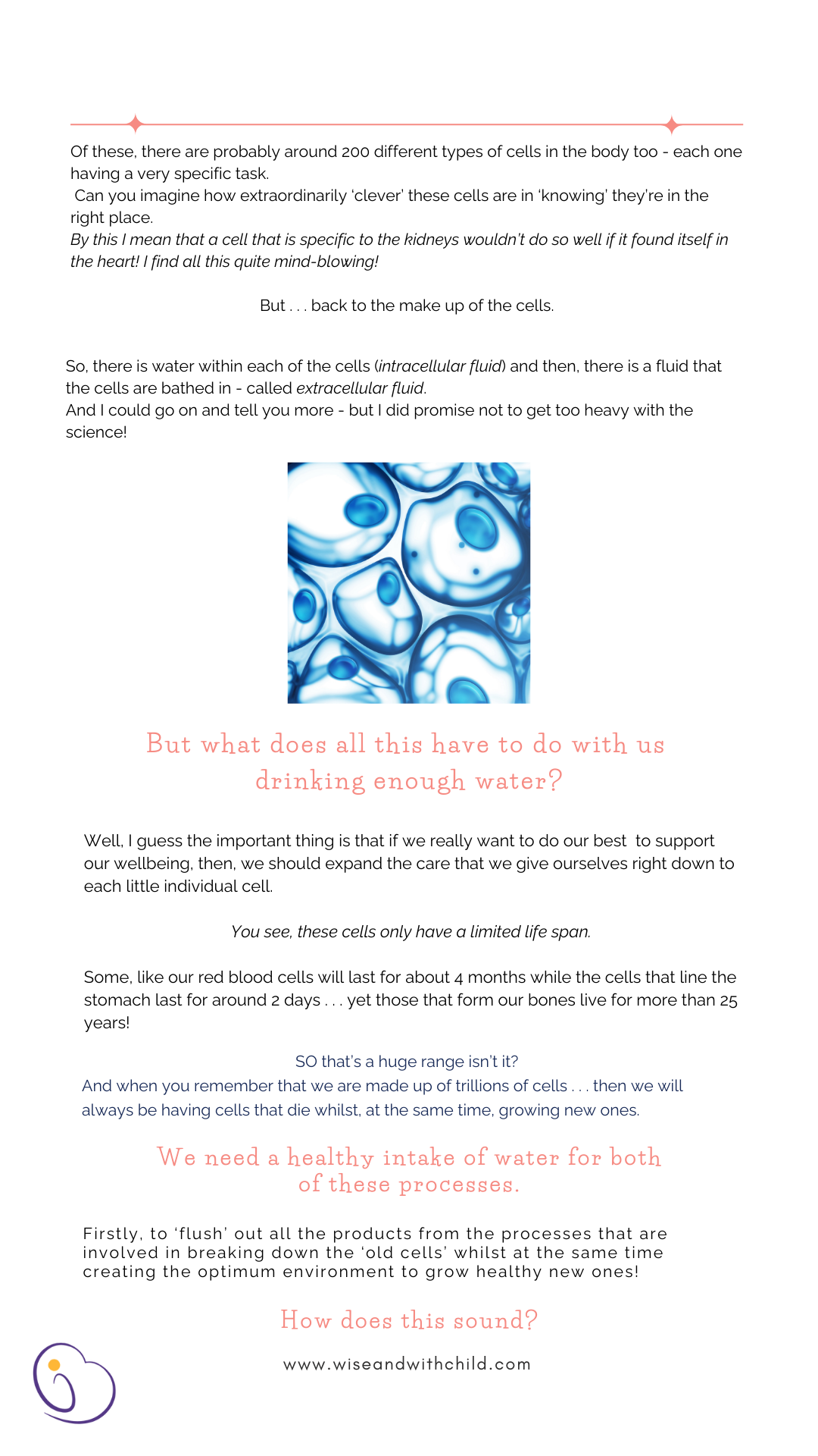 Image of Nurture and Bloom Blog : Water - are you getting enough?