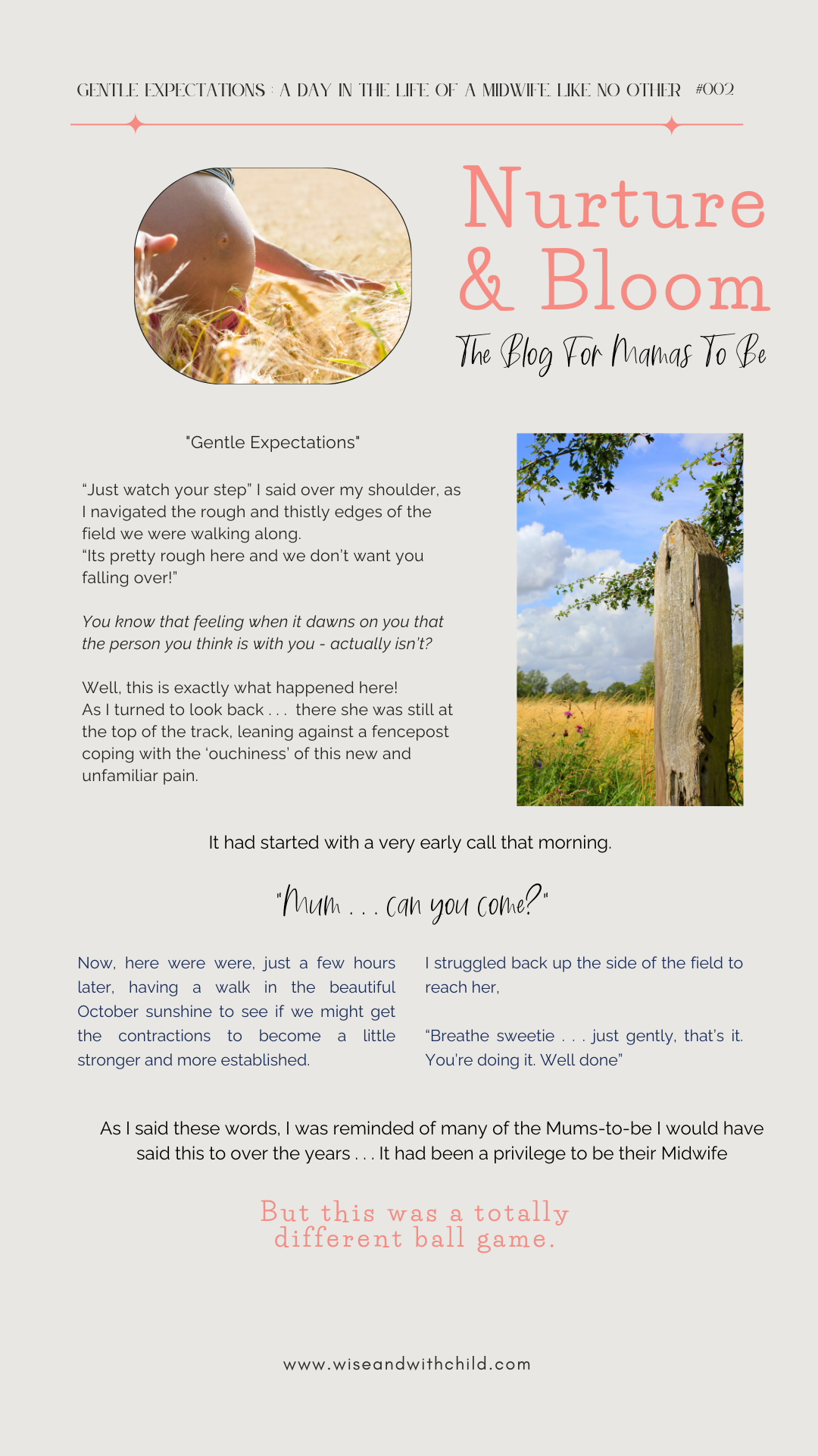 Great Expectations Blog