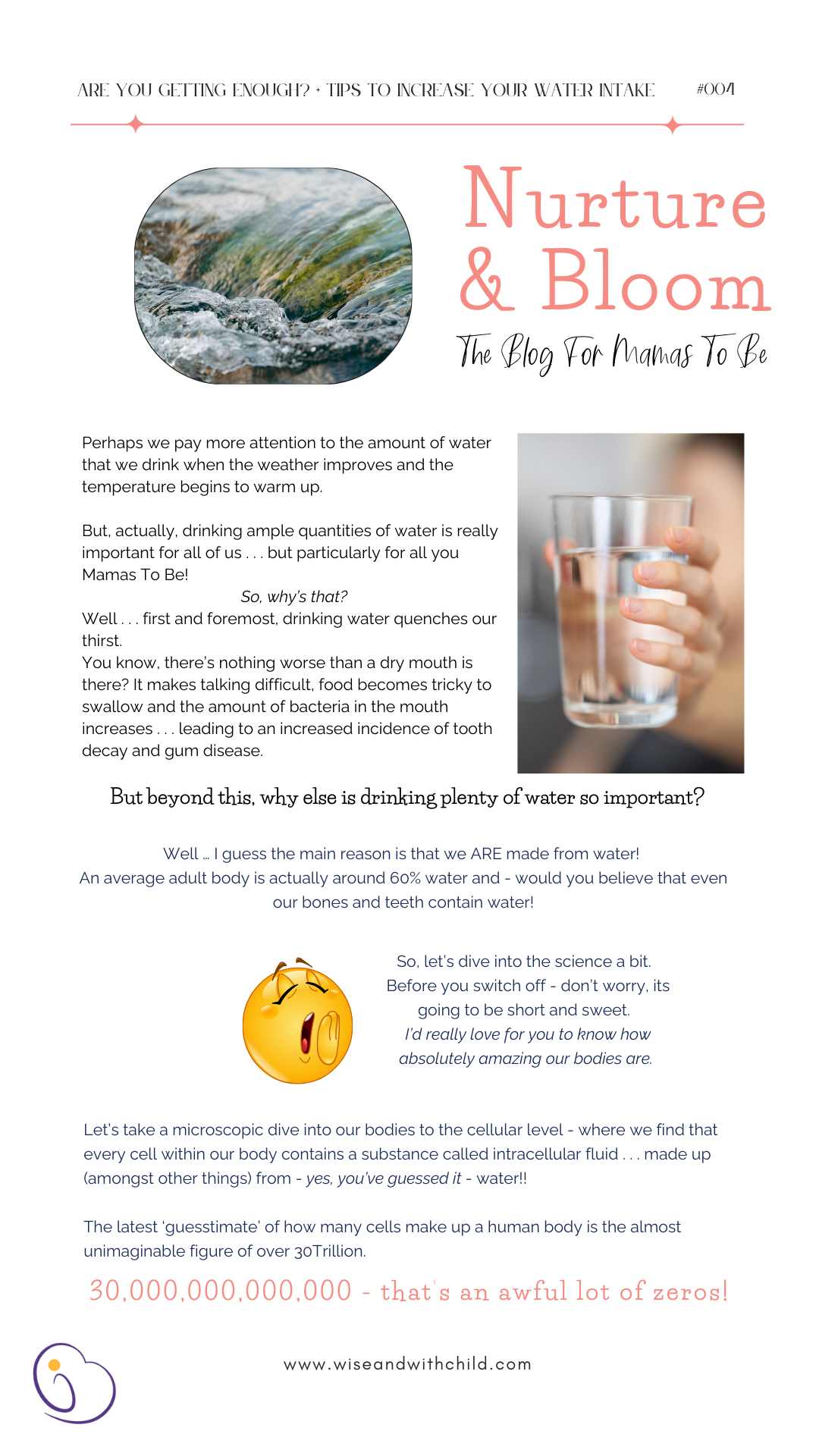 Image of Nurture and Bloom Blog : Water - are you getting enough?