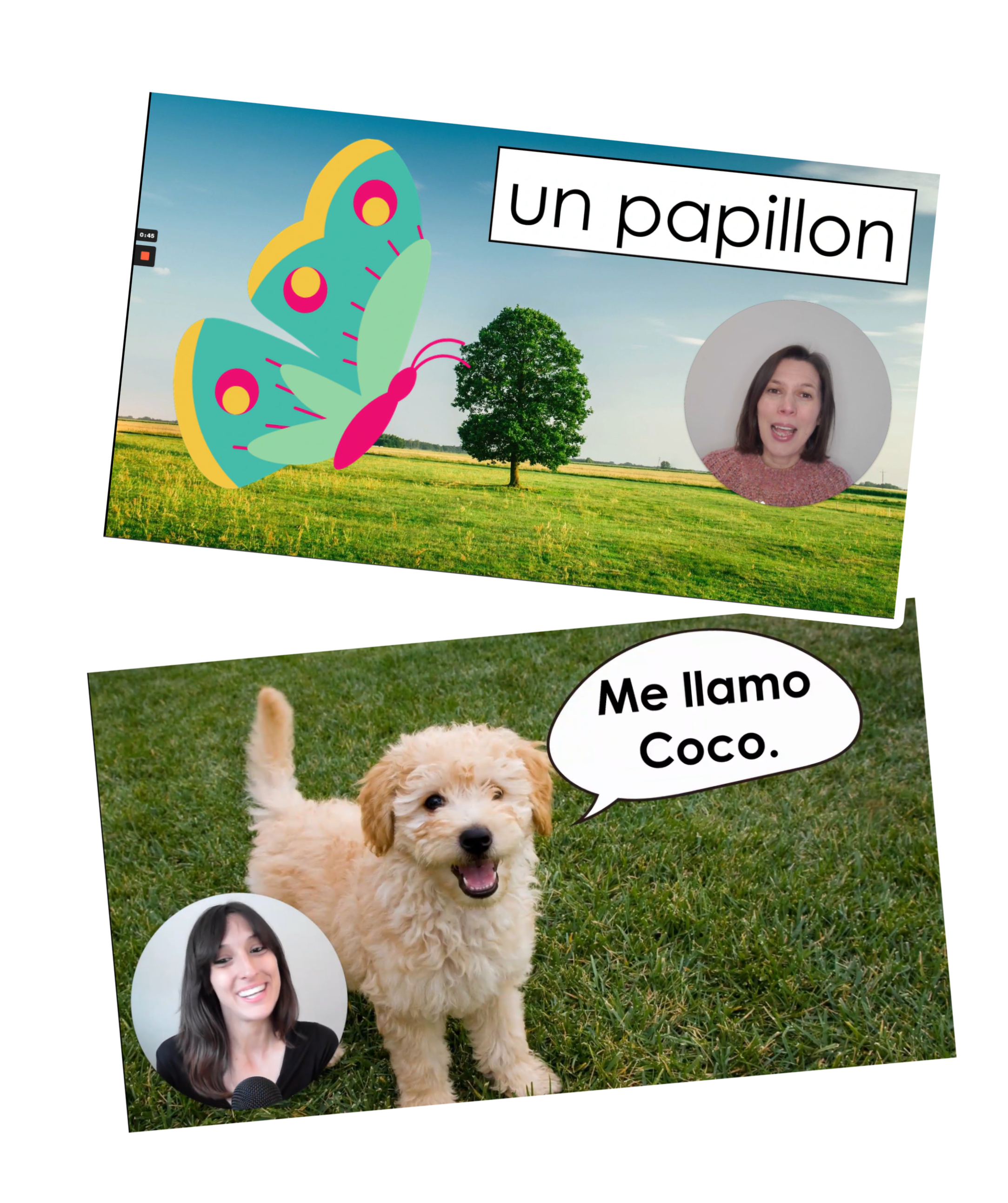 KS1 & EYFS | Try a Free Lesson — Primary Languages Network