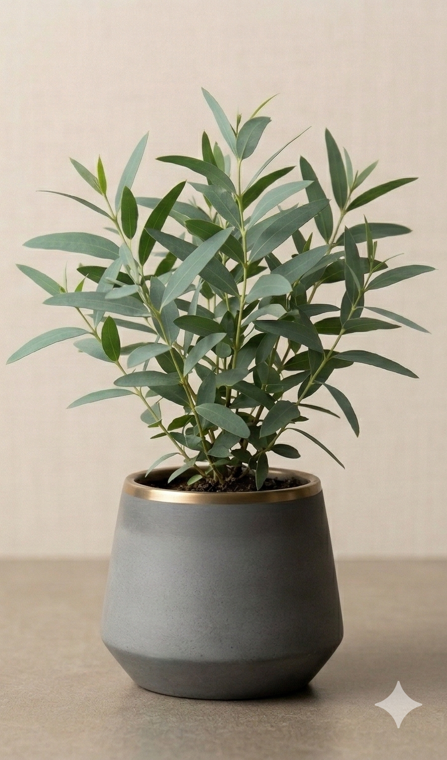 Indoor potted plant with green leaves in a gray geometric pot on a neutral surface.