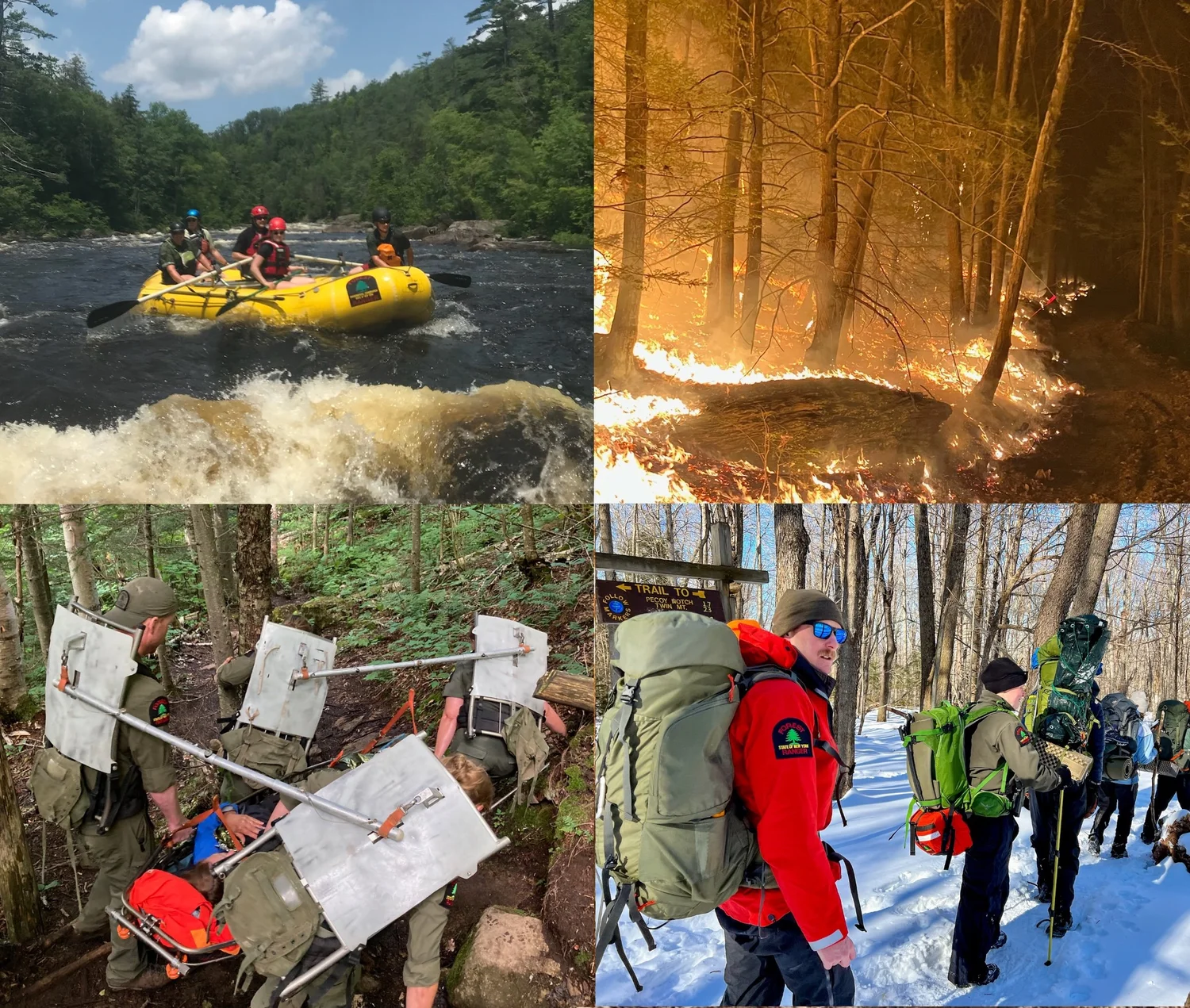 FOREST RANGER FOUNDATION