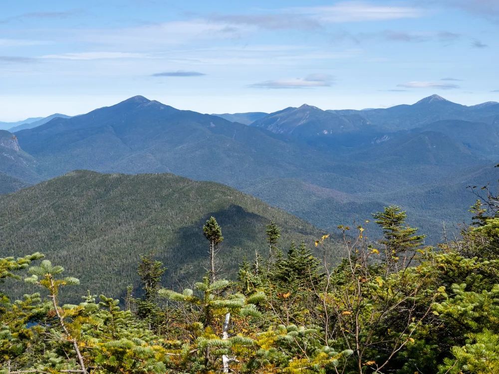 Forest Rnger FOREST RANGER FOUNDATION