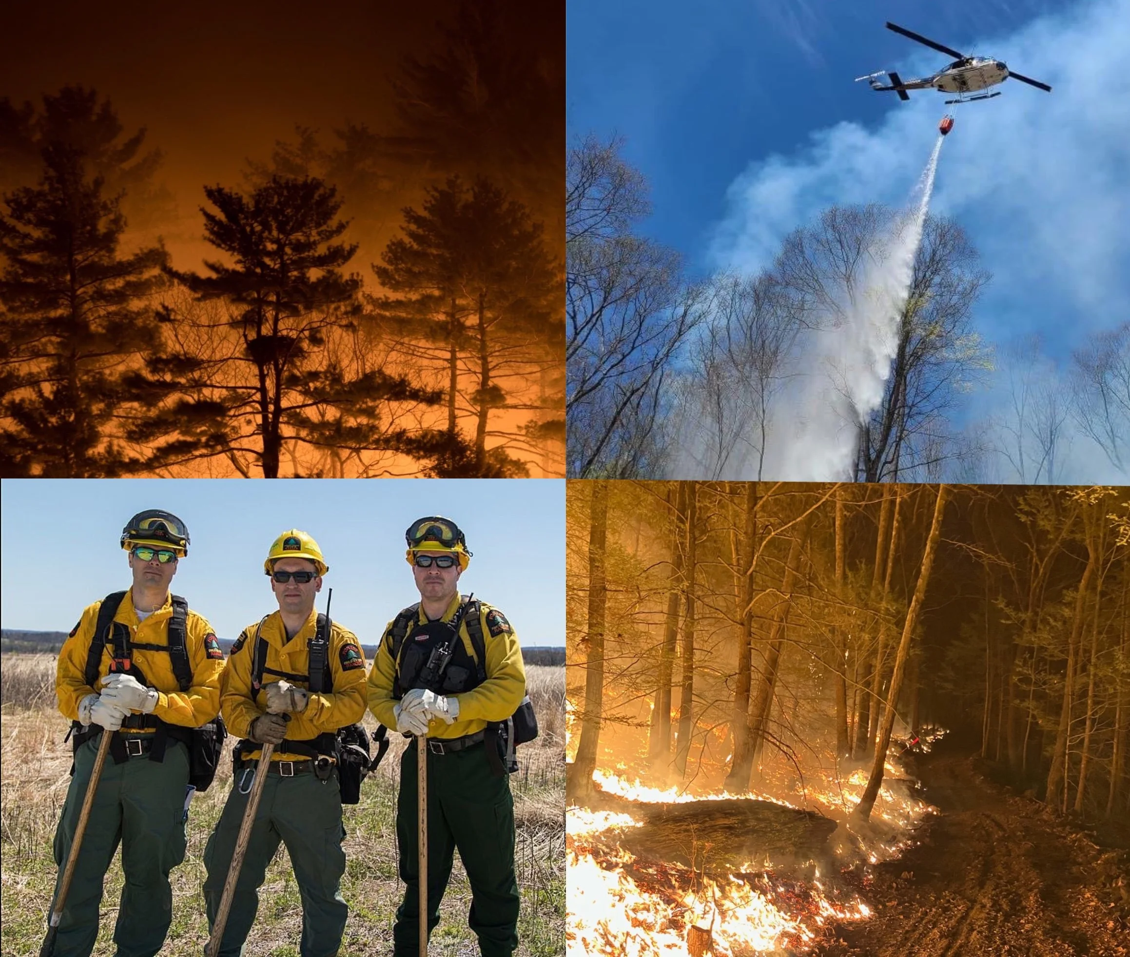 General 1 — FOREST RANGER FOUNDATION