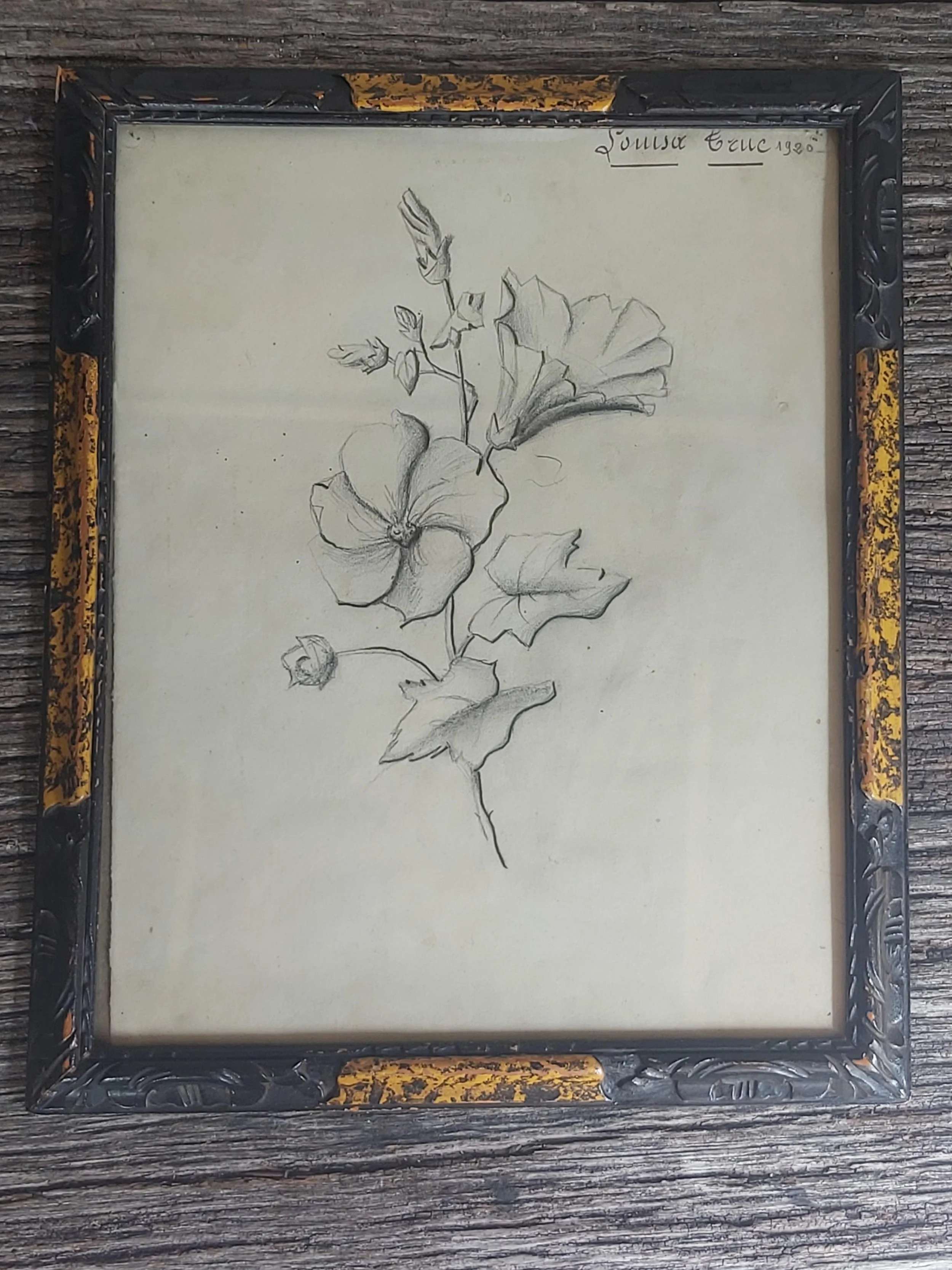 Art 25 : Prachtige ingelijste oude (1920) gesigneerde potloodtekening bloemen