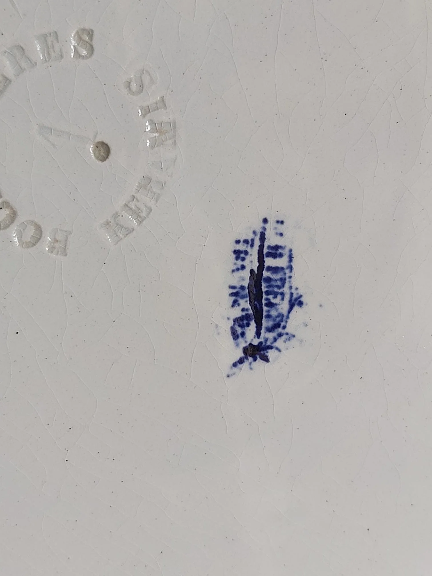 20260701_113336.jpg