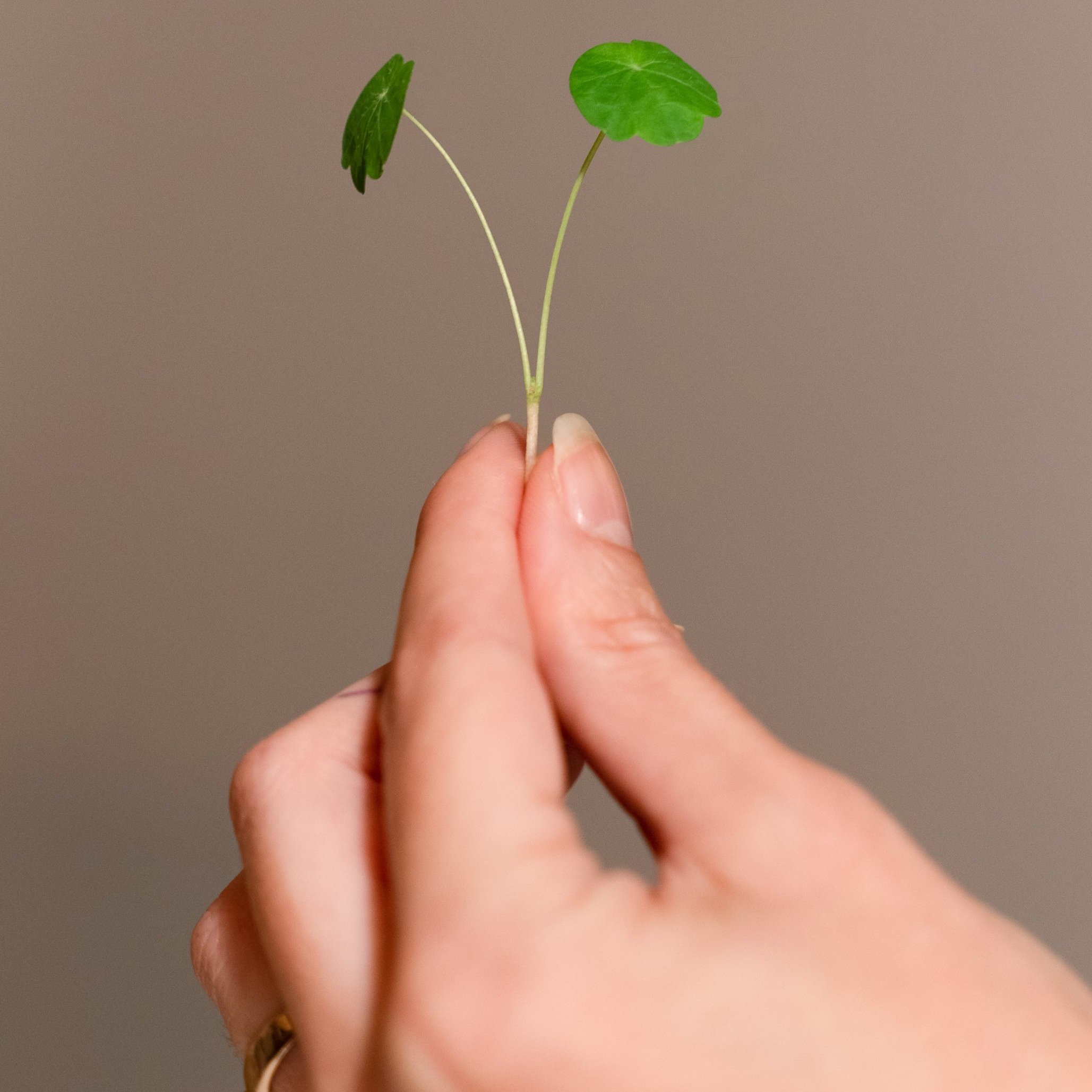 A7R05201-Edit new.jpg