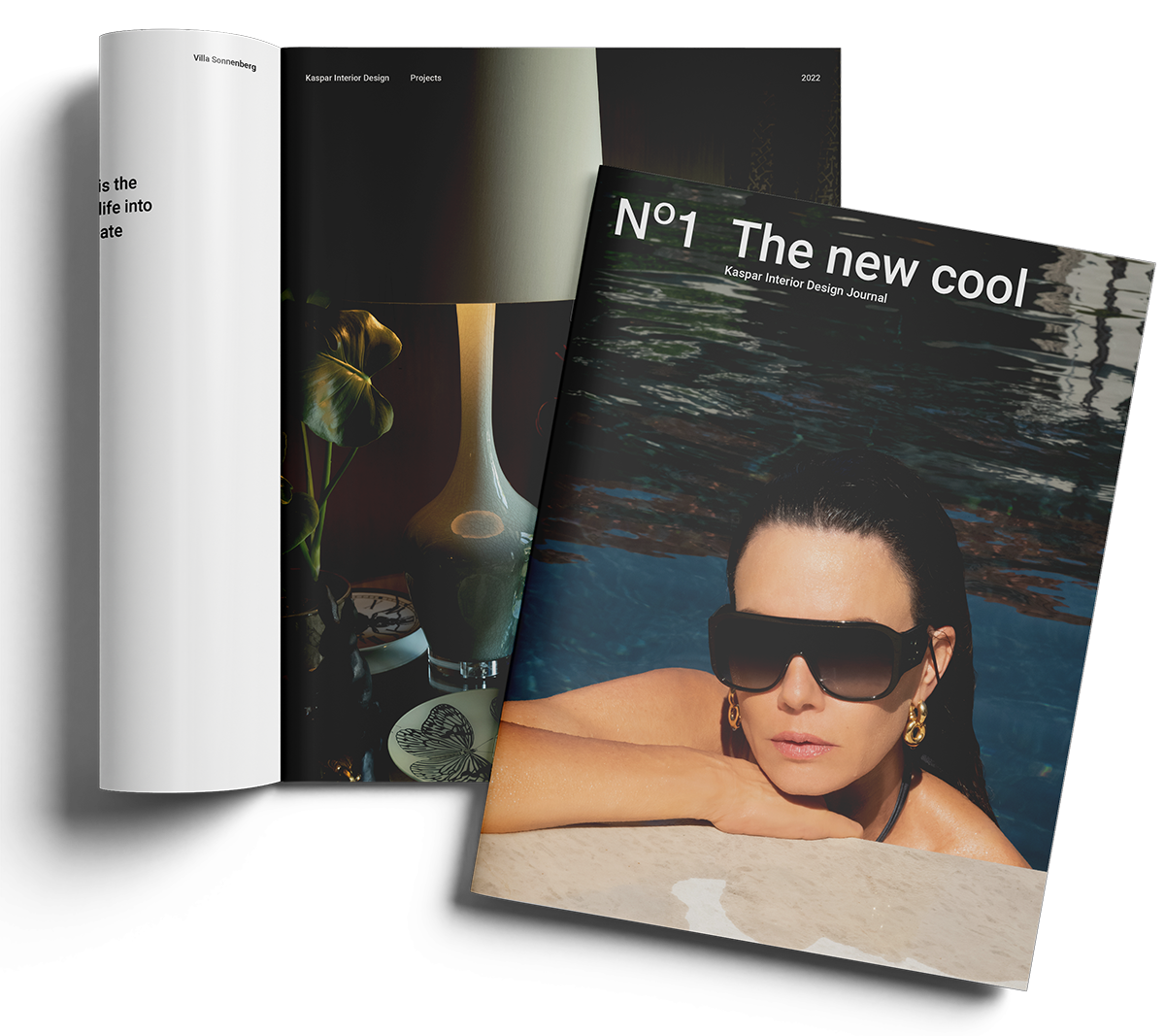 Close-up of magazine covers: one features a woman with sunglasses relaxing by water, the other displays a lamp, houseplant, and decorative items.