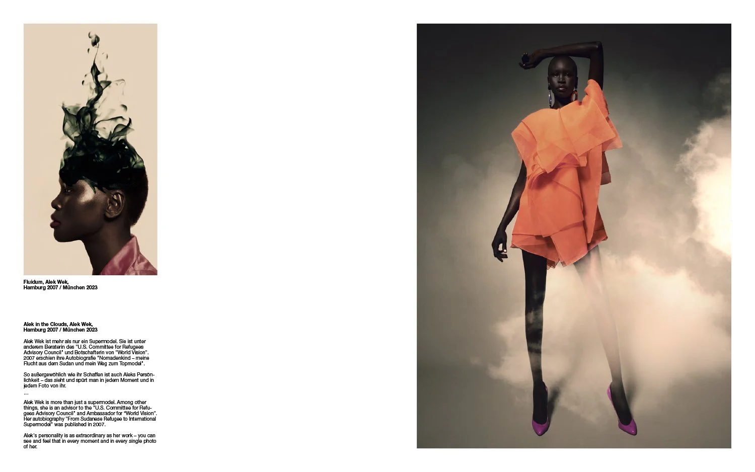 Iridescent Joachim Baldauf-15.jpg