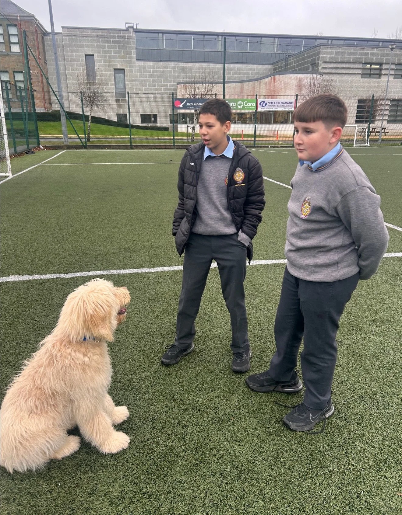 My Canine Companion Visit