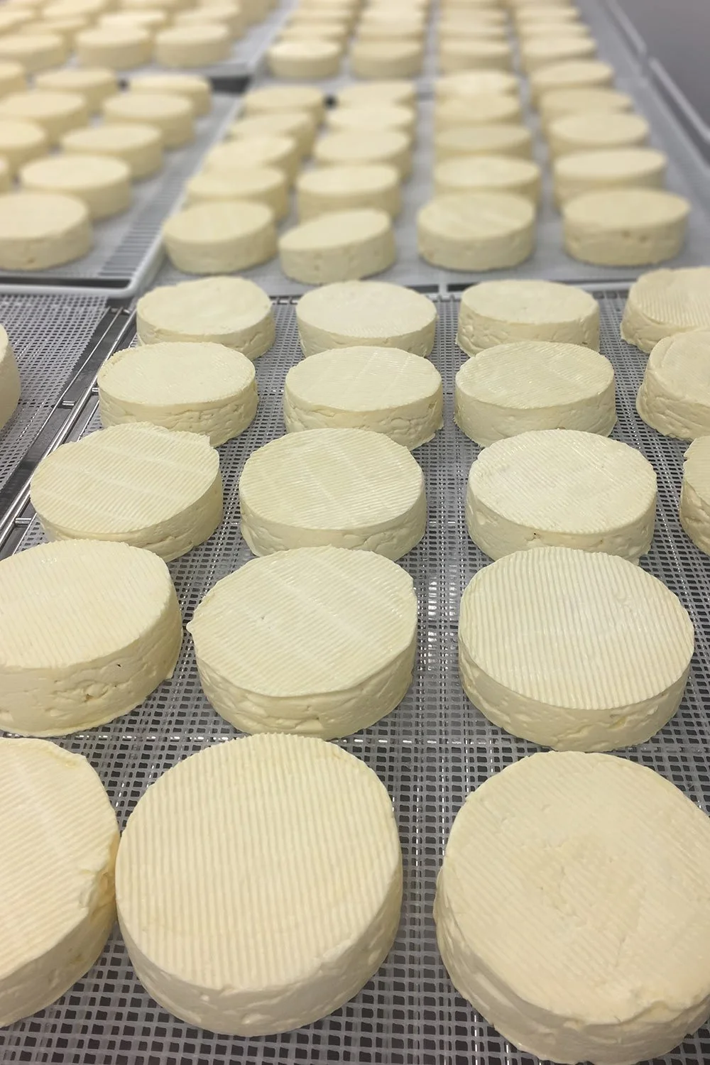 Organic-Artisanal-Welsh-Cheese-CawsPenhelyg.jpg