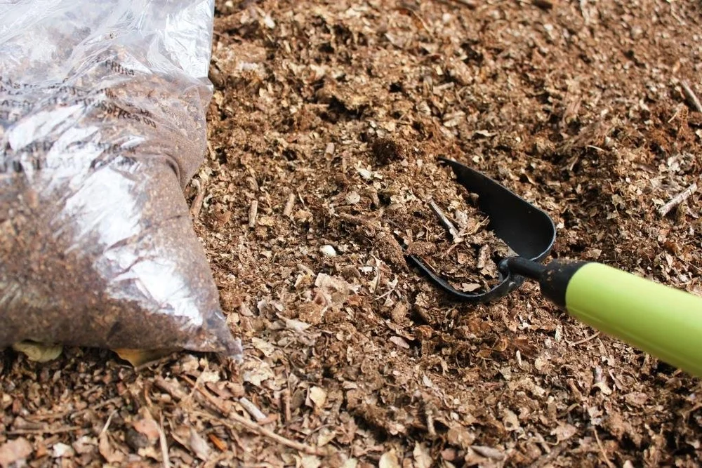 Beetle Substrate Guide — Richard's Inverts