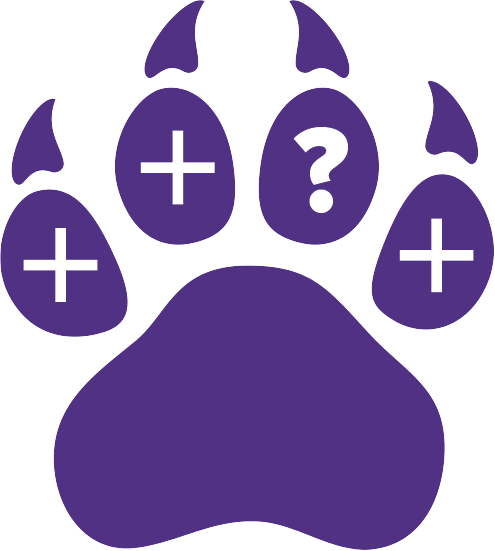 Paw Mistake.png
