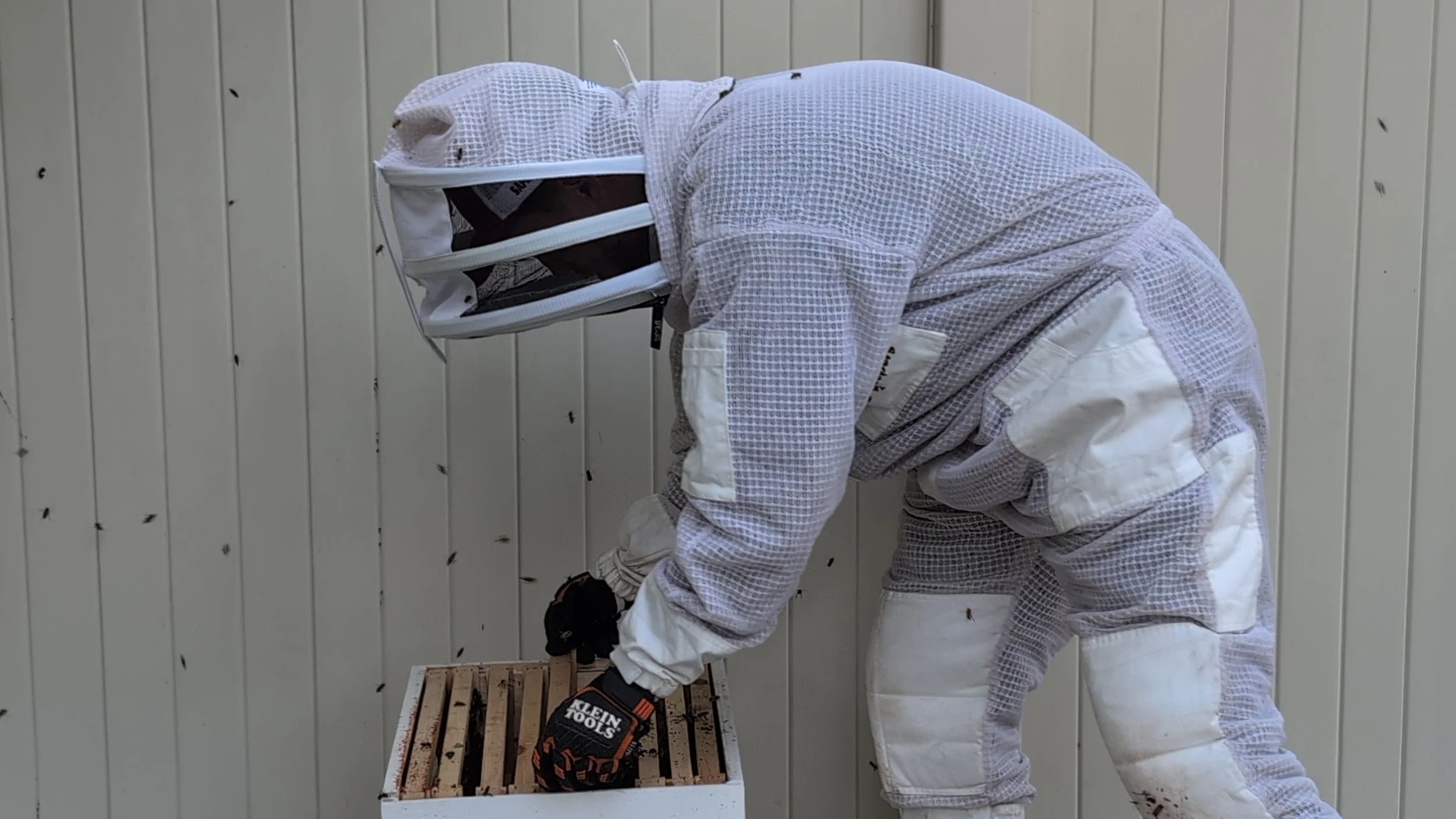 safe_chem_pest_bee_hive